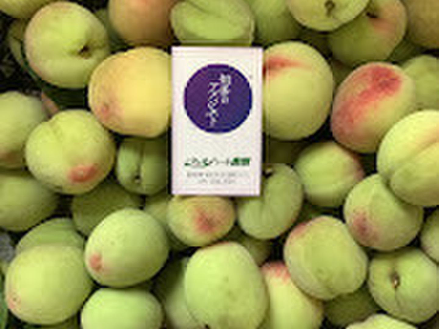 希少！摘果桃【若桃】2㎏：愛知県産のその他桃｜食べチョク
