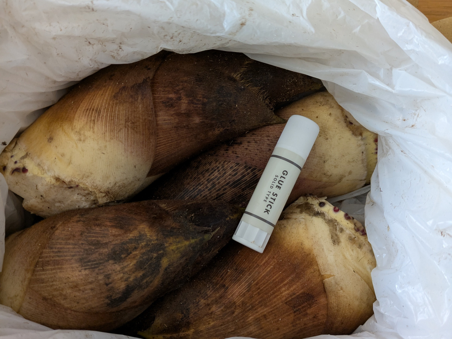 訳あり生【自然栽培】殆どアク無し柔らかタケノコ2kg（米糠付き