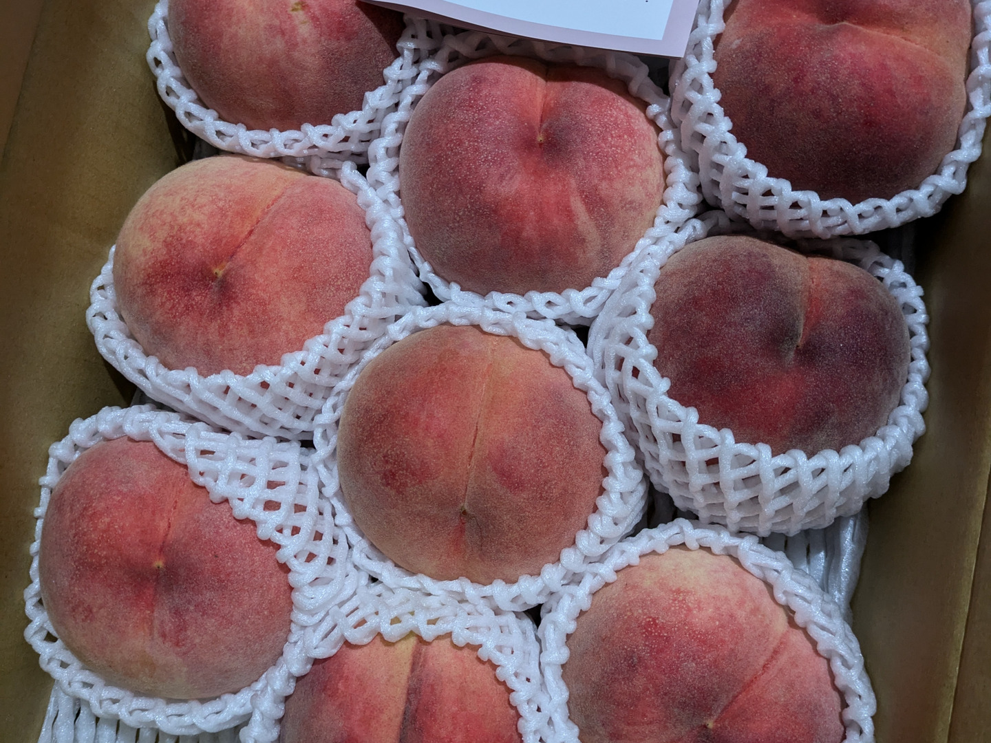 8/10ごろから発送！運命の出会い⁉️【67品種の桃を栽培】品種は