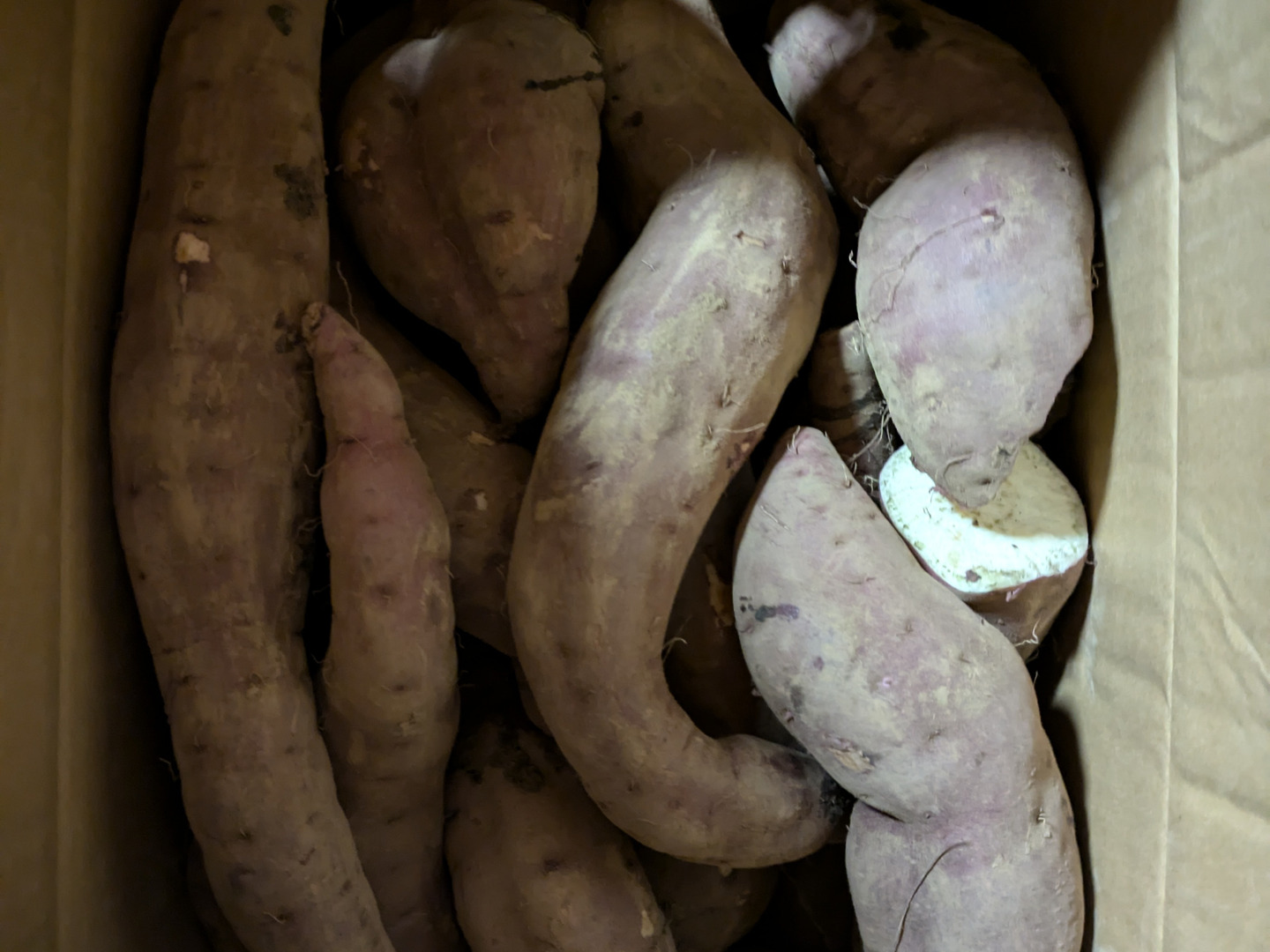 売れ筋アイテムラン 訳あり 新物 規格外：茨城県産 さつまいも べにはるか 】土付き 野菜