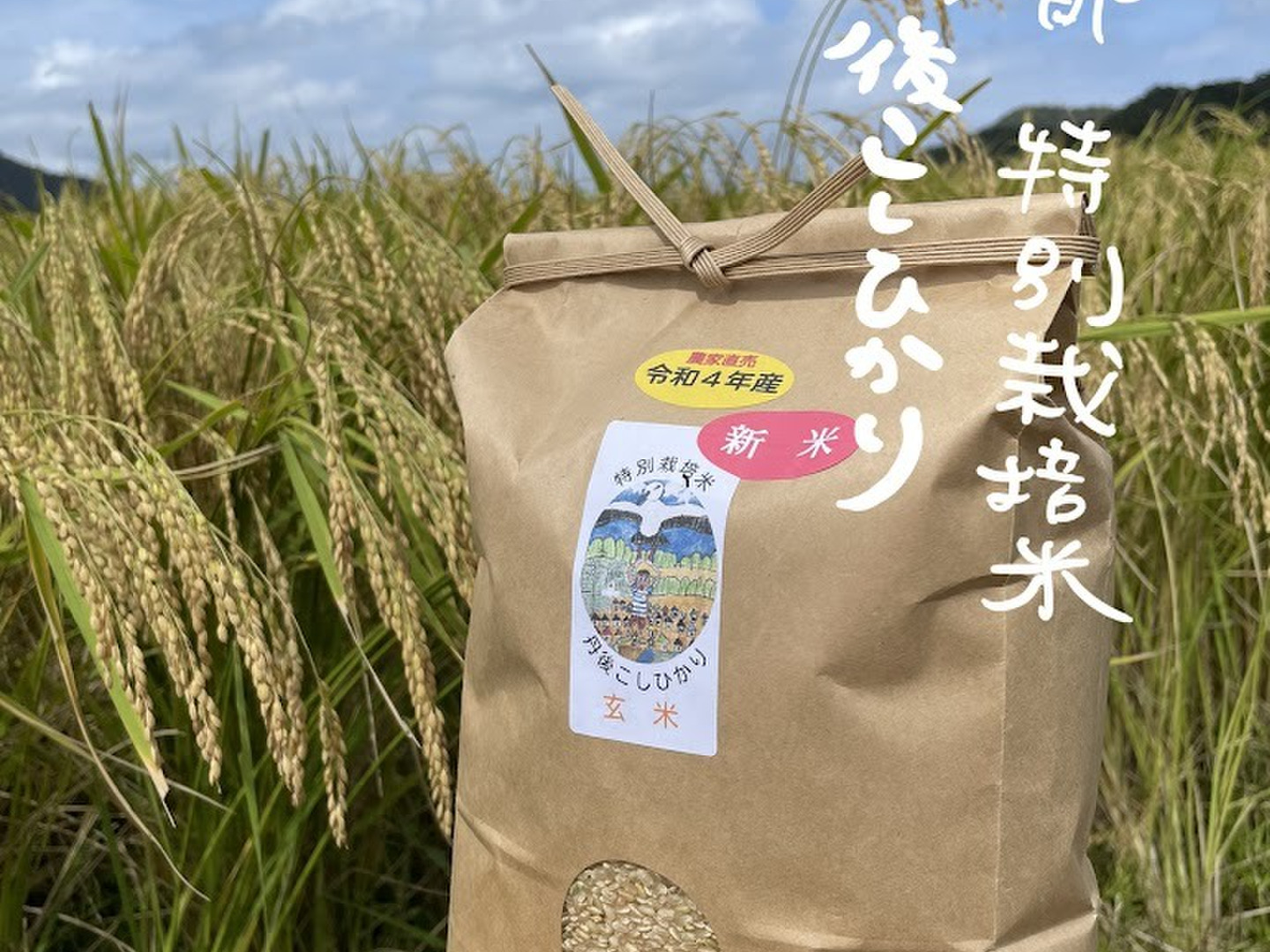 京丹後産こしひかり 玄米 10kg 楽天市場】特別栽培米 京都府 丹後産 コシヒカリ 米 10kg 送料