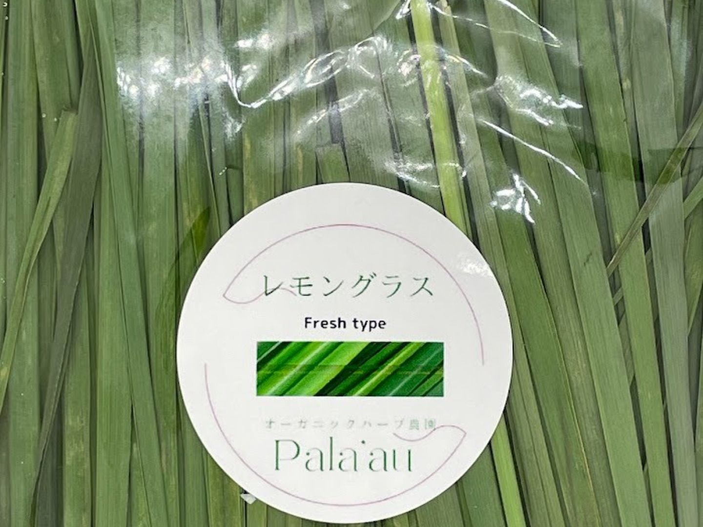 自然栽培 フレッシュレモングラス予約販売 葉側 500g