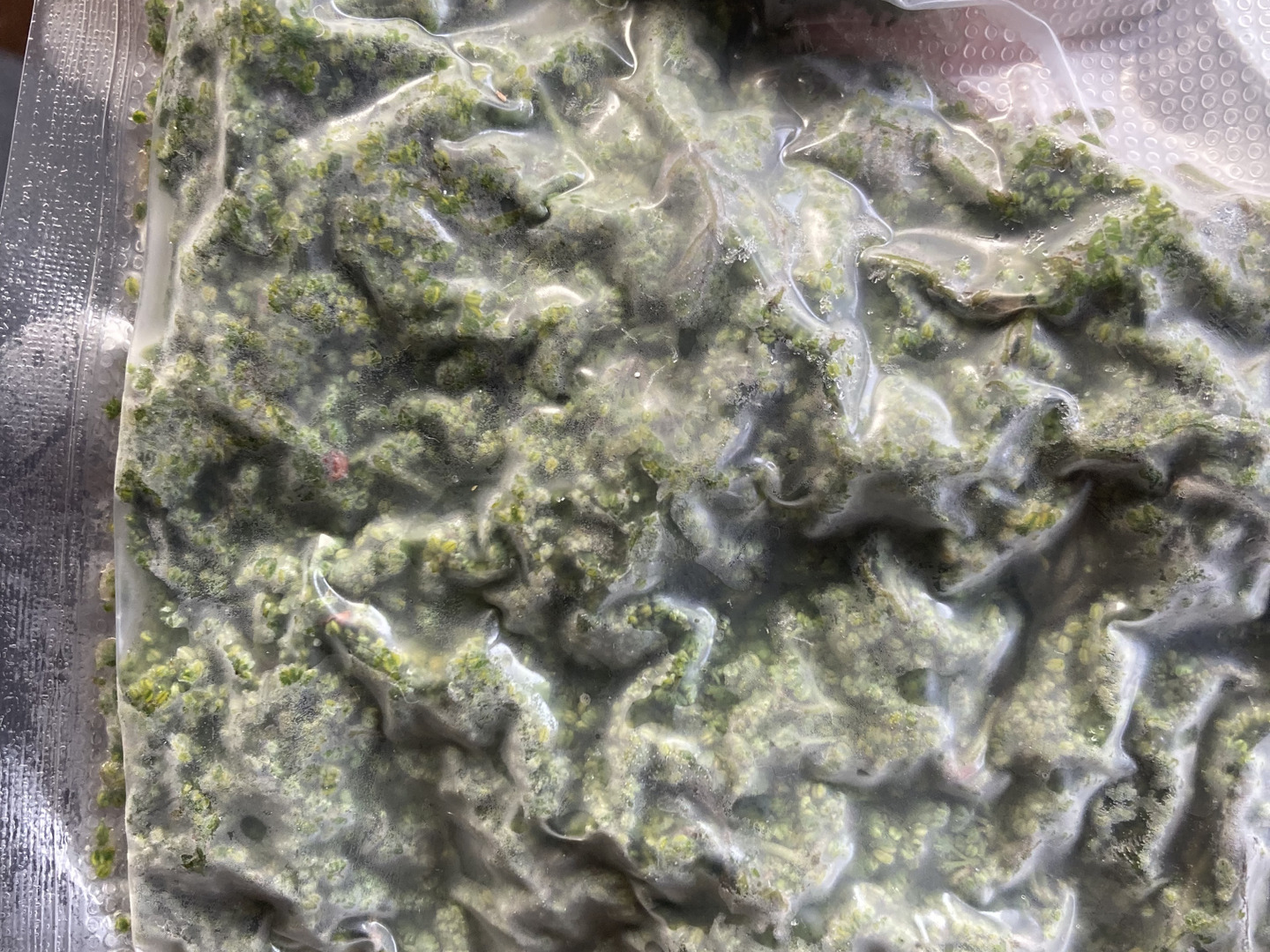 花山椒　京都美山産　100g cdef599537ffde716316290a0b231b