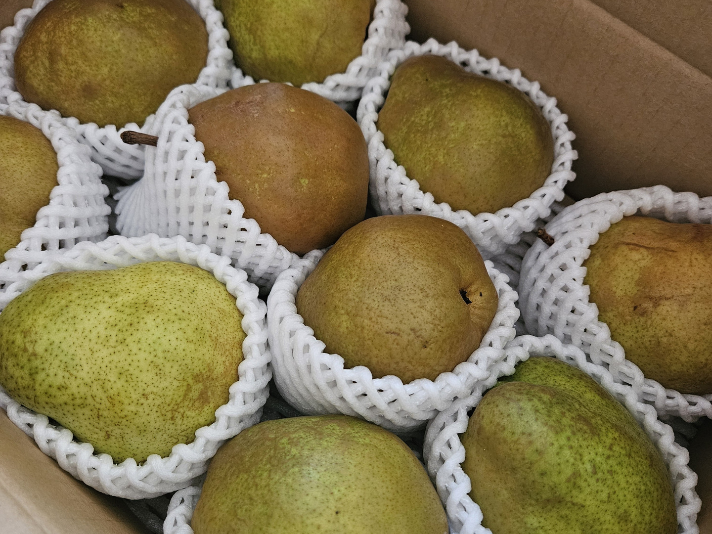 家庭用 ラ・フランス 2.5kg：山形県産のラ・フランス｜食べ