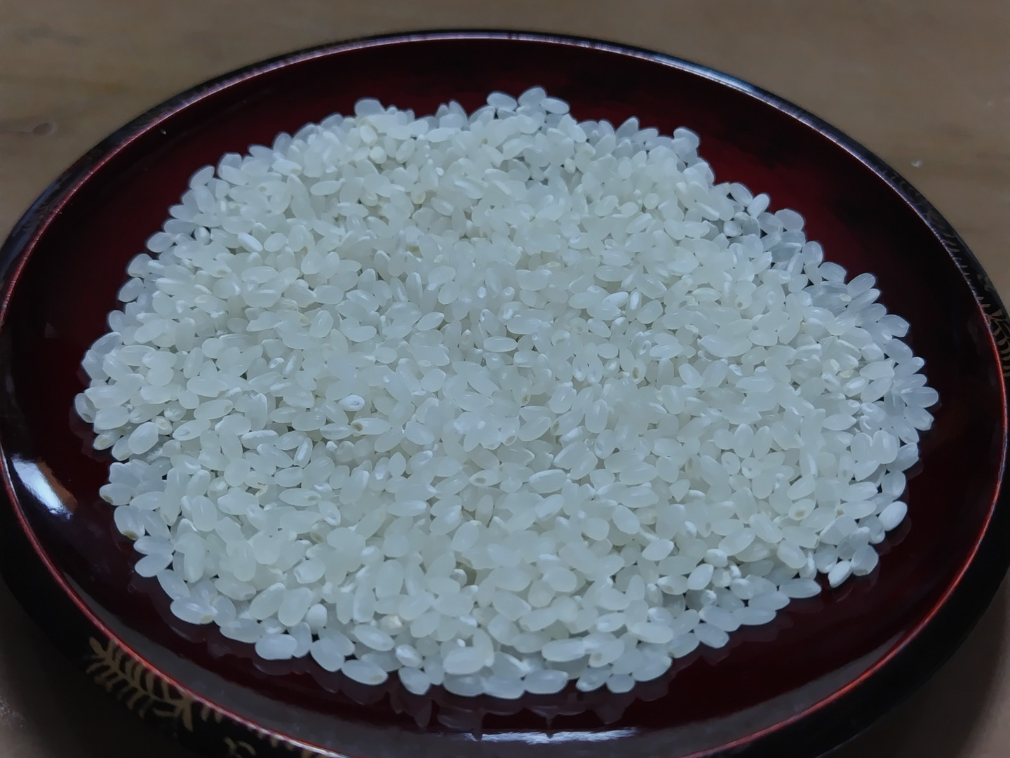 ポポロ　お米　令和２年　愛媛県産キヌヒカリ　白米　20㎏ キヌヒカリ 新米 和歌山県産 赤津直基さんのキヌヒカリ 令和4