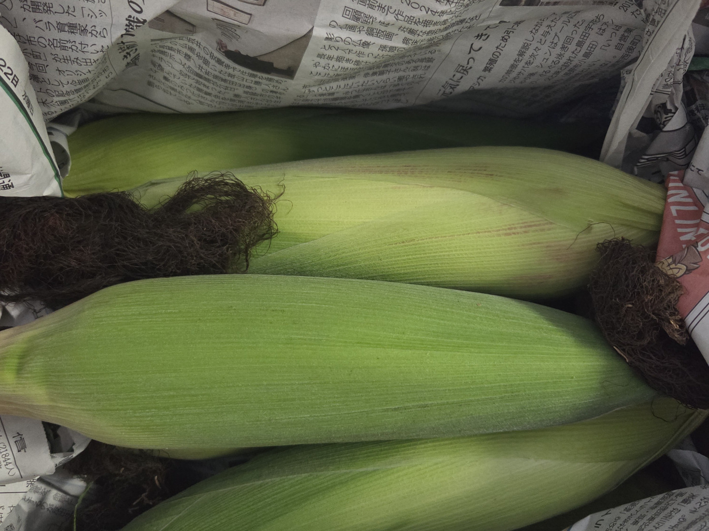 赤いとうもろこし 】軽井沢 産高原野菜 大和ルージュ 赤いスイート