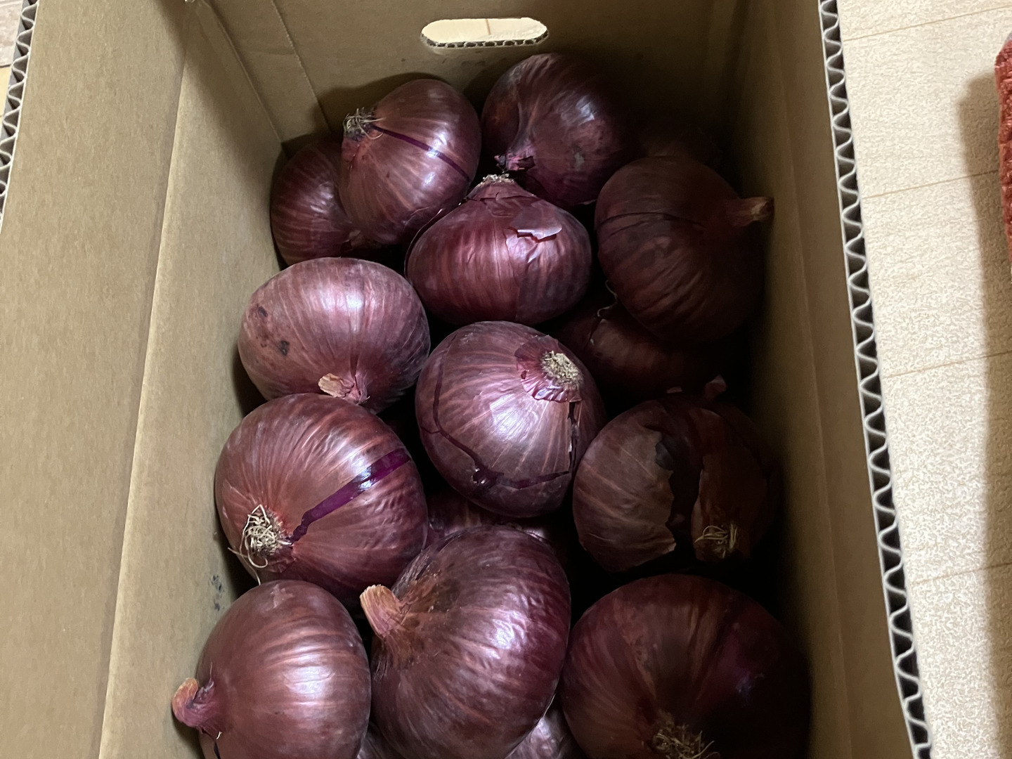 少し訳あり「あま〜くて」美味しい淡路島玉ねぎ 5kg：兵庫県産の