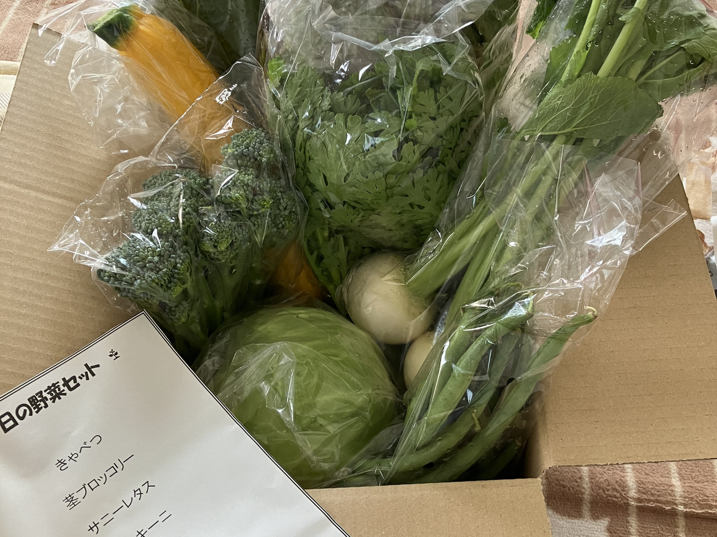 最愛 新鮮！旬の野菜セット【SSサイズ：約1.5kg】【7品目】農薬・化学 野菜