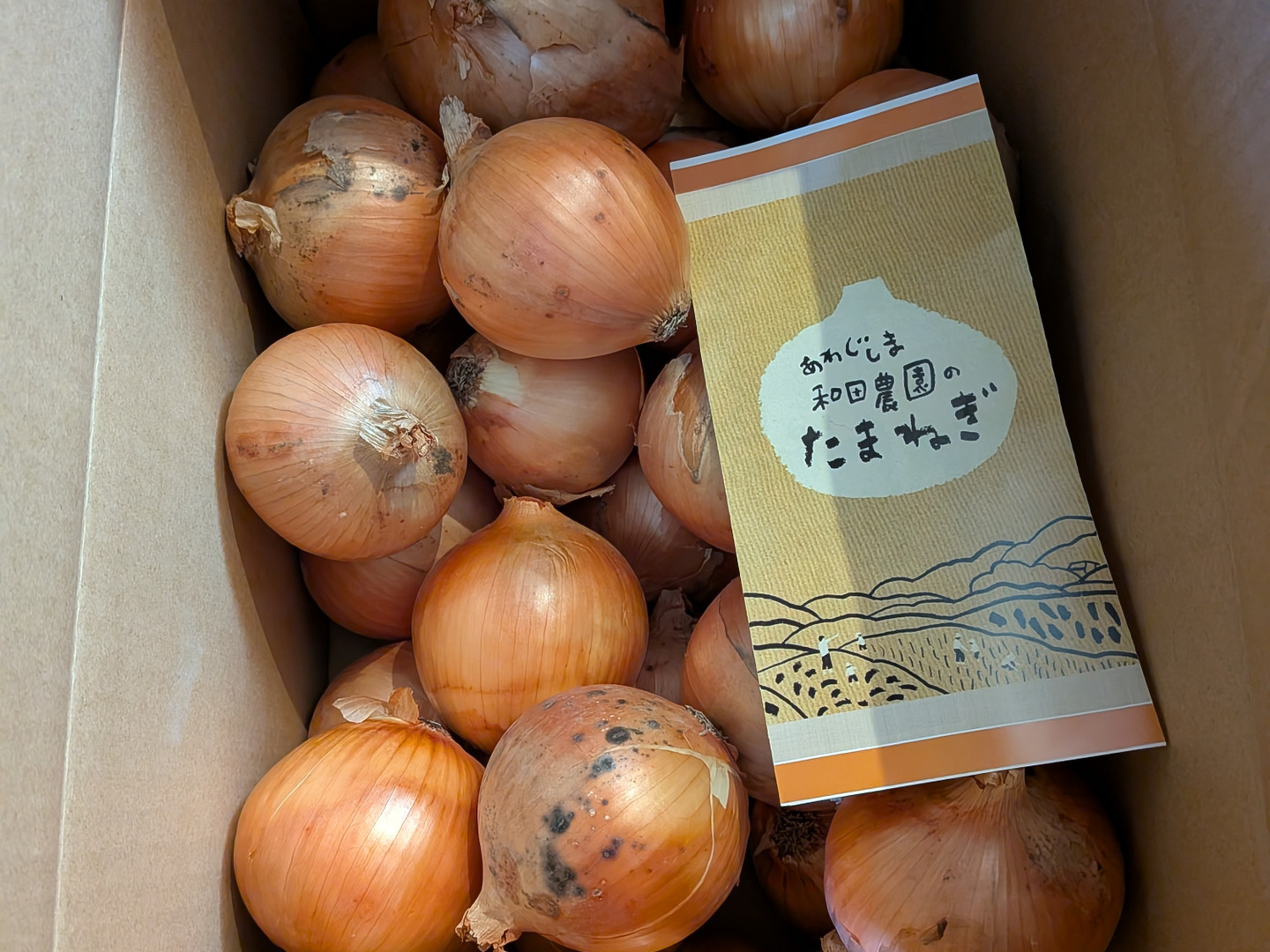 トロあまターザン淡路島産玉ねぎ10kgM〜LL日持ち品種：兵庫県産の