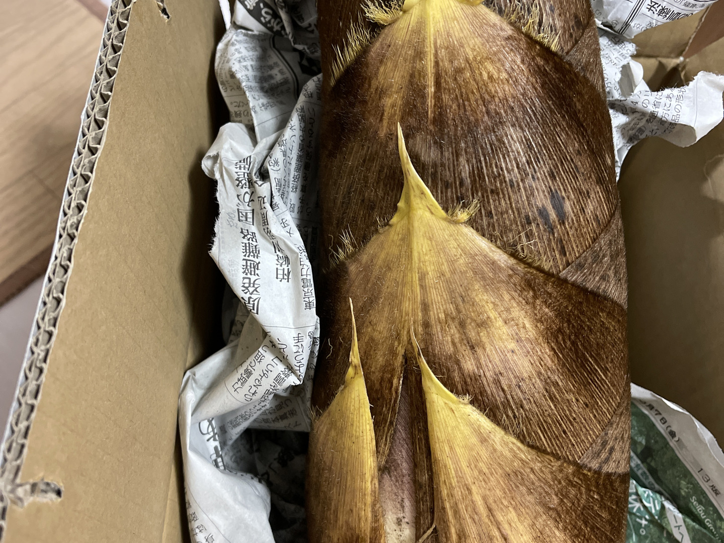 初筍⭐︎販売開始】採れ次第発送(日付指定不可、時間指定OK