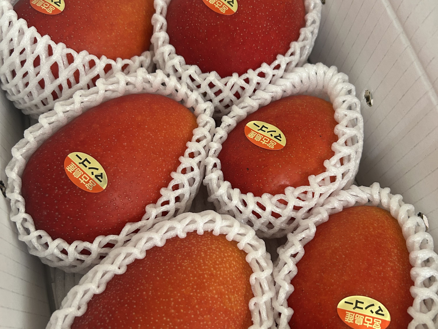 宮古島産マンゴー（ご家庭用2kg／3〜5玉）【沖縄・宮古島産／糖度保証