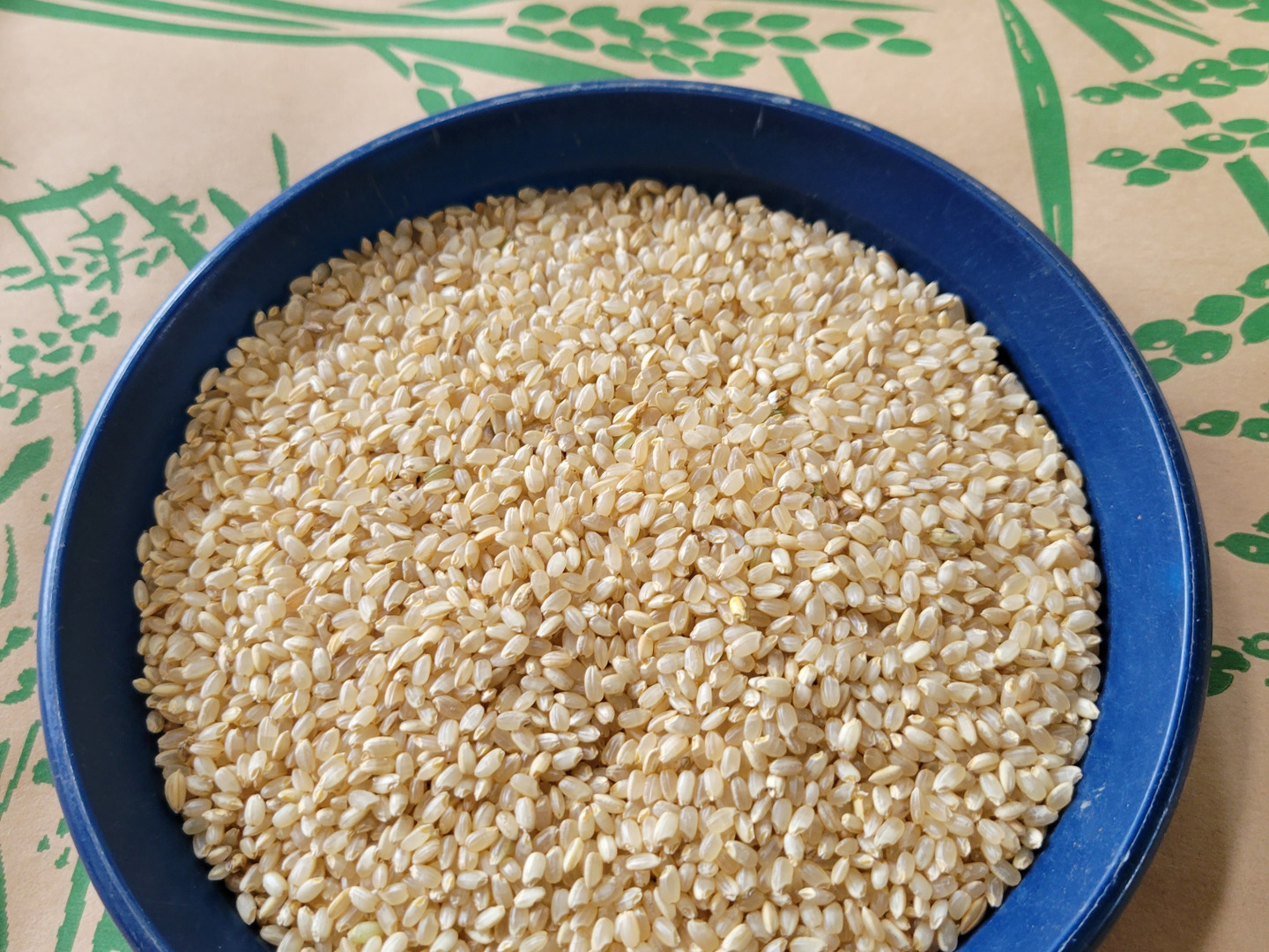 新米7年産玄米10kg コシヒカリ：三重県産のお米｜食べチョク