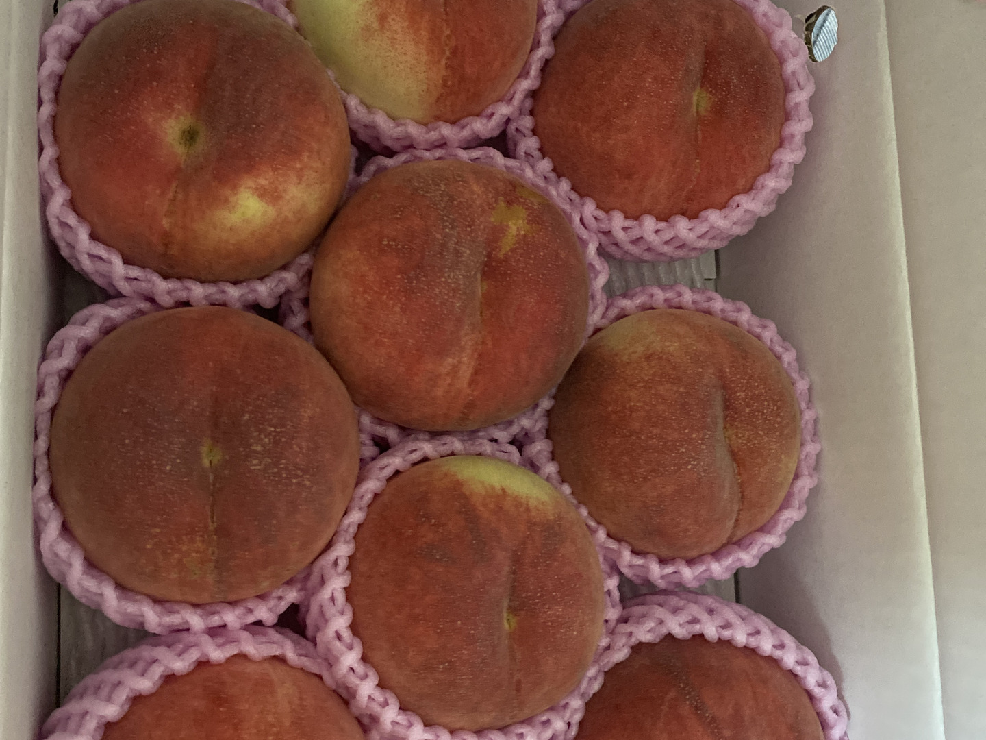 早期予約価格🍑さくら白桃 3kg 8~14玉 9月上旬発送 希少な桃 早期予約価格🍑さくら白桃 3kg 8~14玉 9月上旬発送 希少な桃