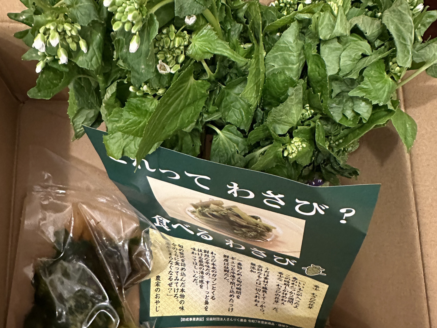 予約受付中！ 春の山菜・花わさび！300g【期間限定 4月下旬～5月