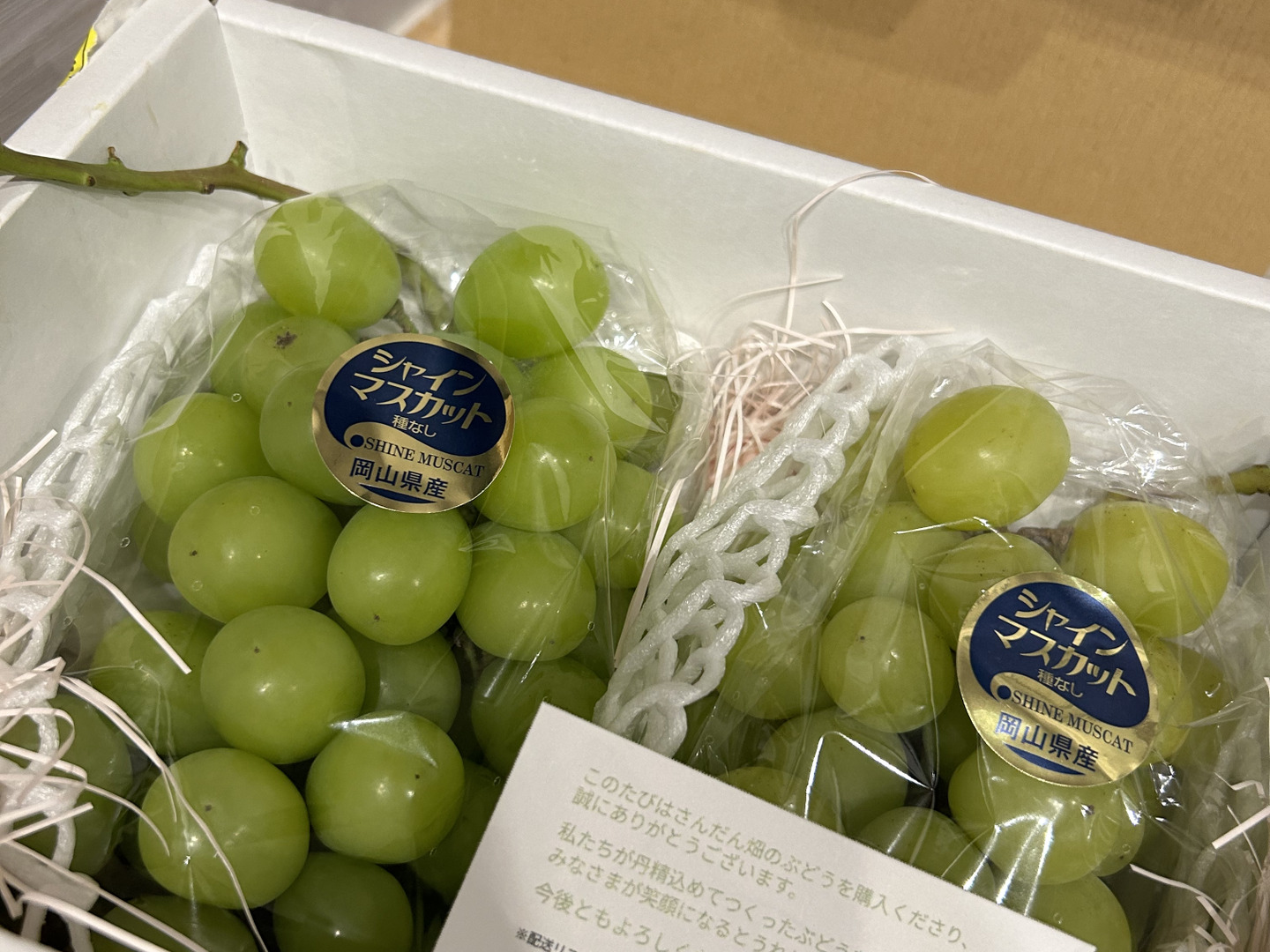 数量限定！在庫処分セール 売り切れ御免 毎年好評につき完売‼️】200箱限定9月初旬発送 甘いと好評の フルーツ