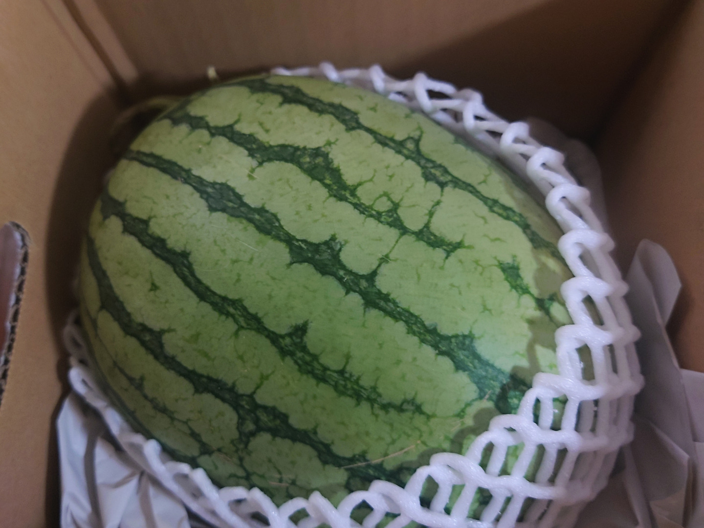 訳ありピノガール1玉 【タネごと食べれるシャキシャキ小玉すいか
