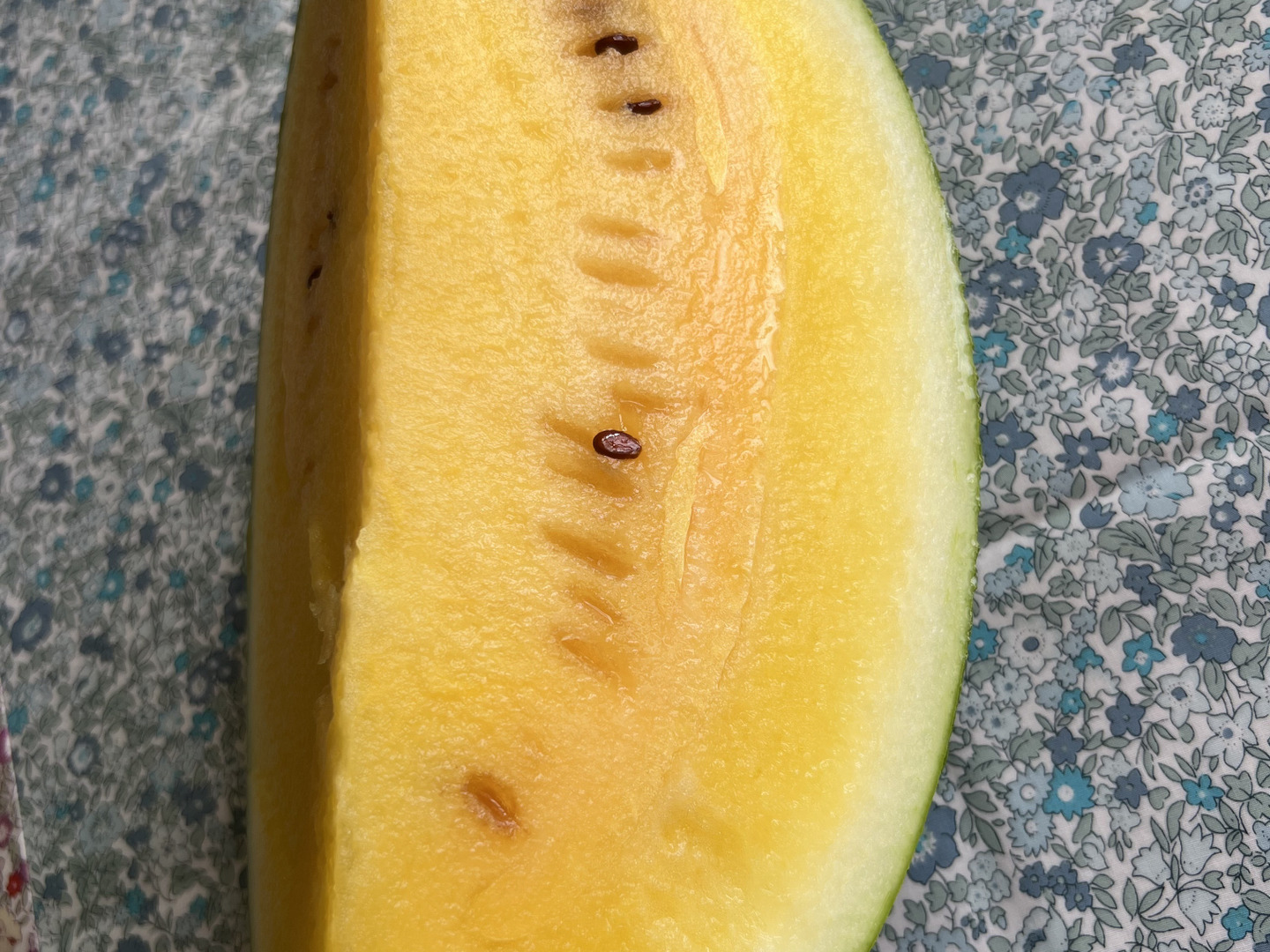 ２玉同梱・ブラック６㌔と羅皇４㌔のセット・メル便・兵庫・ローズ・と 楽天市場】送料無料 黄色 大玉 スイカ 甘い ギフト 金色羅皇