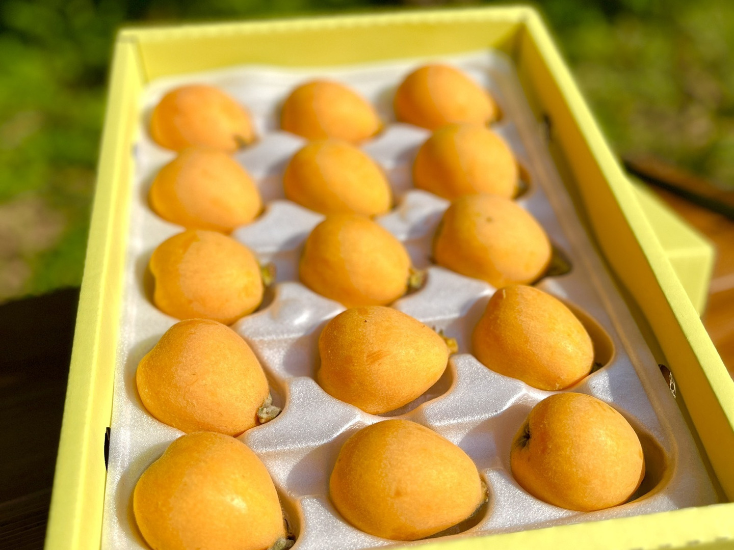 美味】去年を越える！茂木産びわ なつたより 大玉サイズ 15個