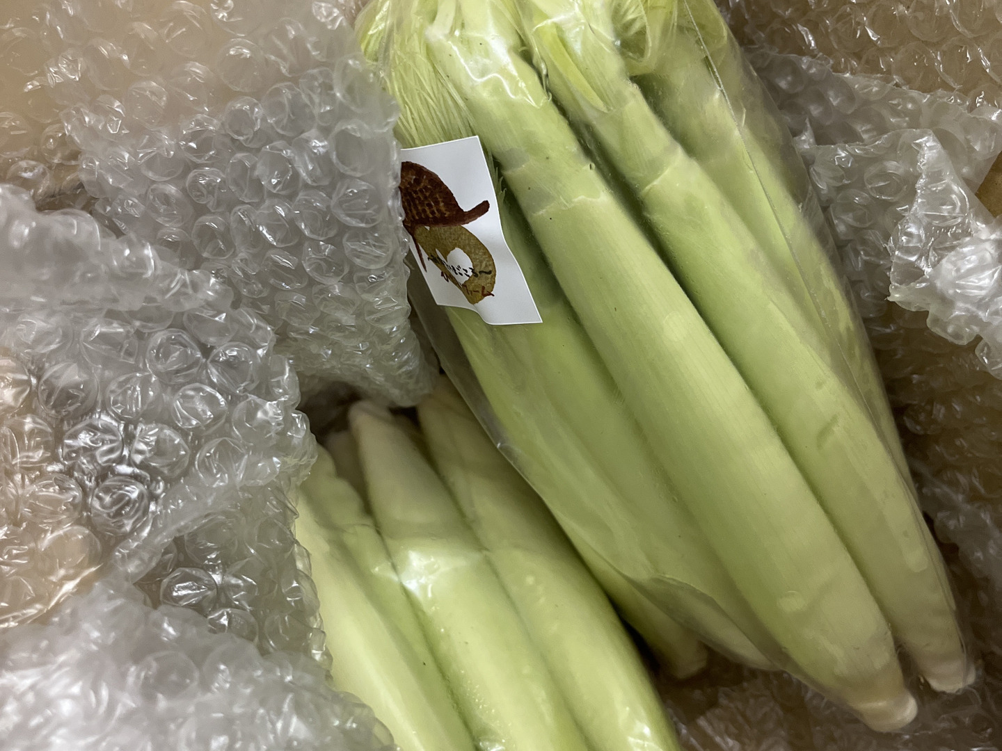 新鮮ヤングコーン200本（本日1品のみ） 楽天市場】【旬のオススメ】徳島県産他 皮つきヤングコーン（5