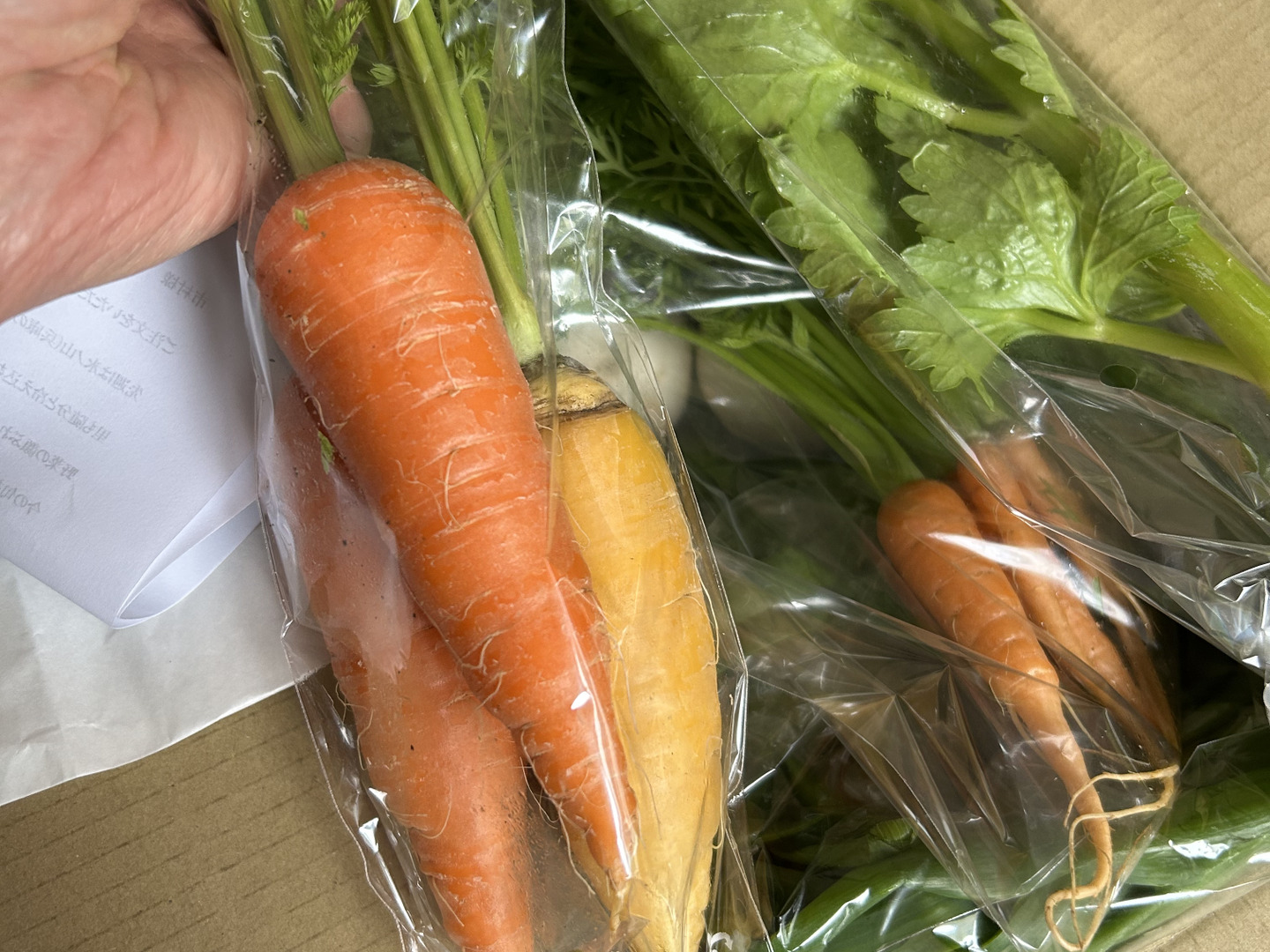 【後払い手数料無料】 但馬の旬をお届け！採れたて野菜セットS【4〜5種類】(60サイズ 野菜