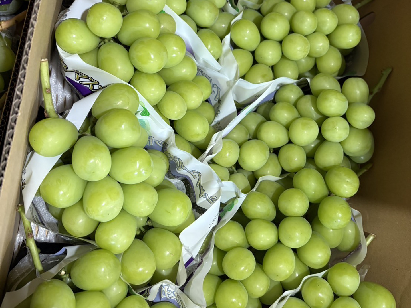 山梨県産／パリッと食感！訳ありシャインマスカット ご家庭用1Kg【限定