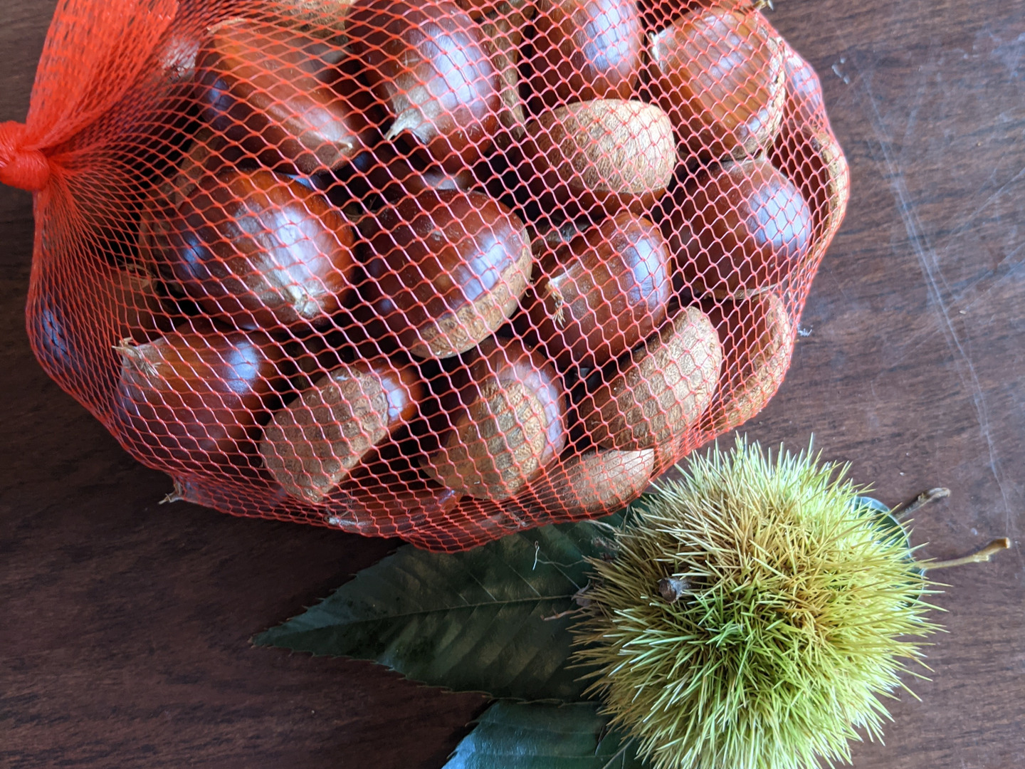 無燻蒸の小布施栗クール便！ 程よい大きさMLサイズ1キロ：長野県