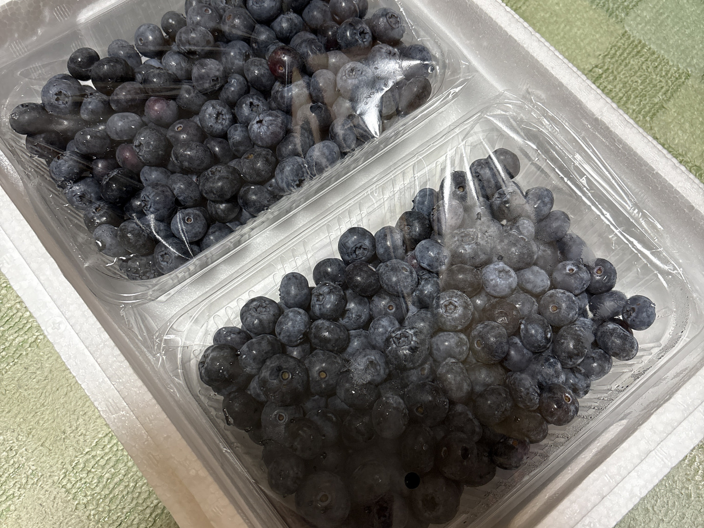 新鮮！】朝摘みブルーベリーを夕方配送！1kg（500g×2p）：福島県産の