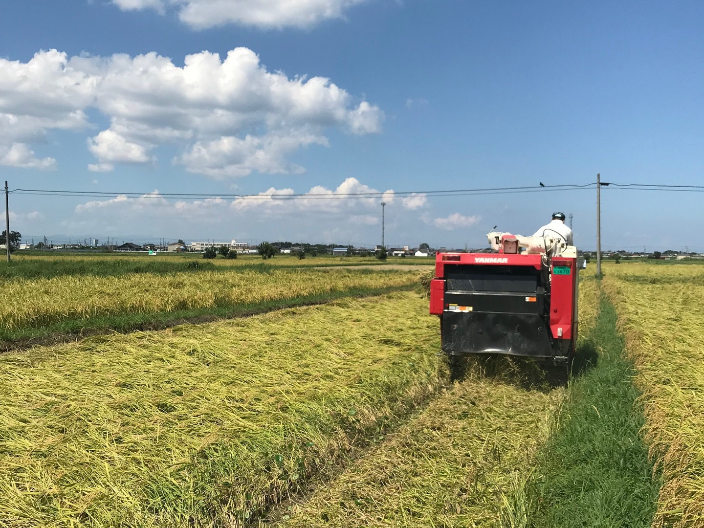 三重県松阪市【令和6年産　夢ファームターチャンのコシヒカリ精米10キロ】 三重県松阪市【令和6年産 夢ファームターチャンのコシヒカリ精米