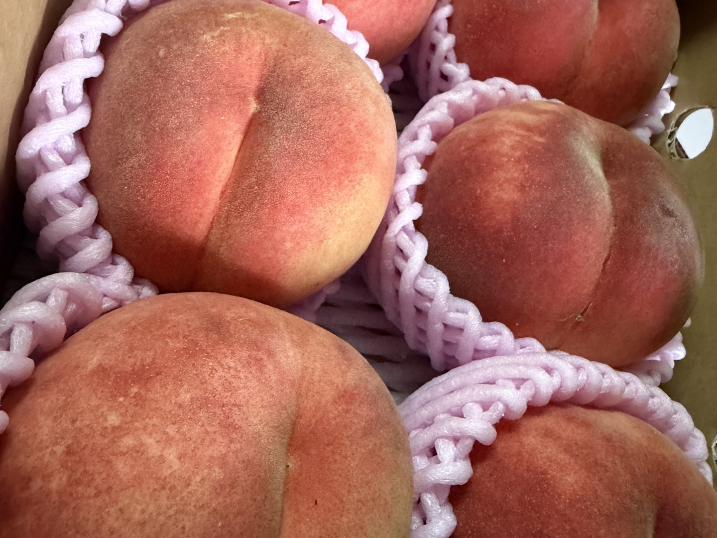 🍑珍しい桃 まどか 5玉前後 8月中旬発送 収穫した日に発送 家庭用 農家