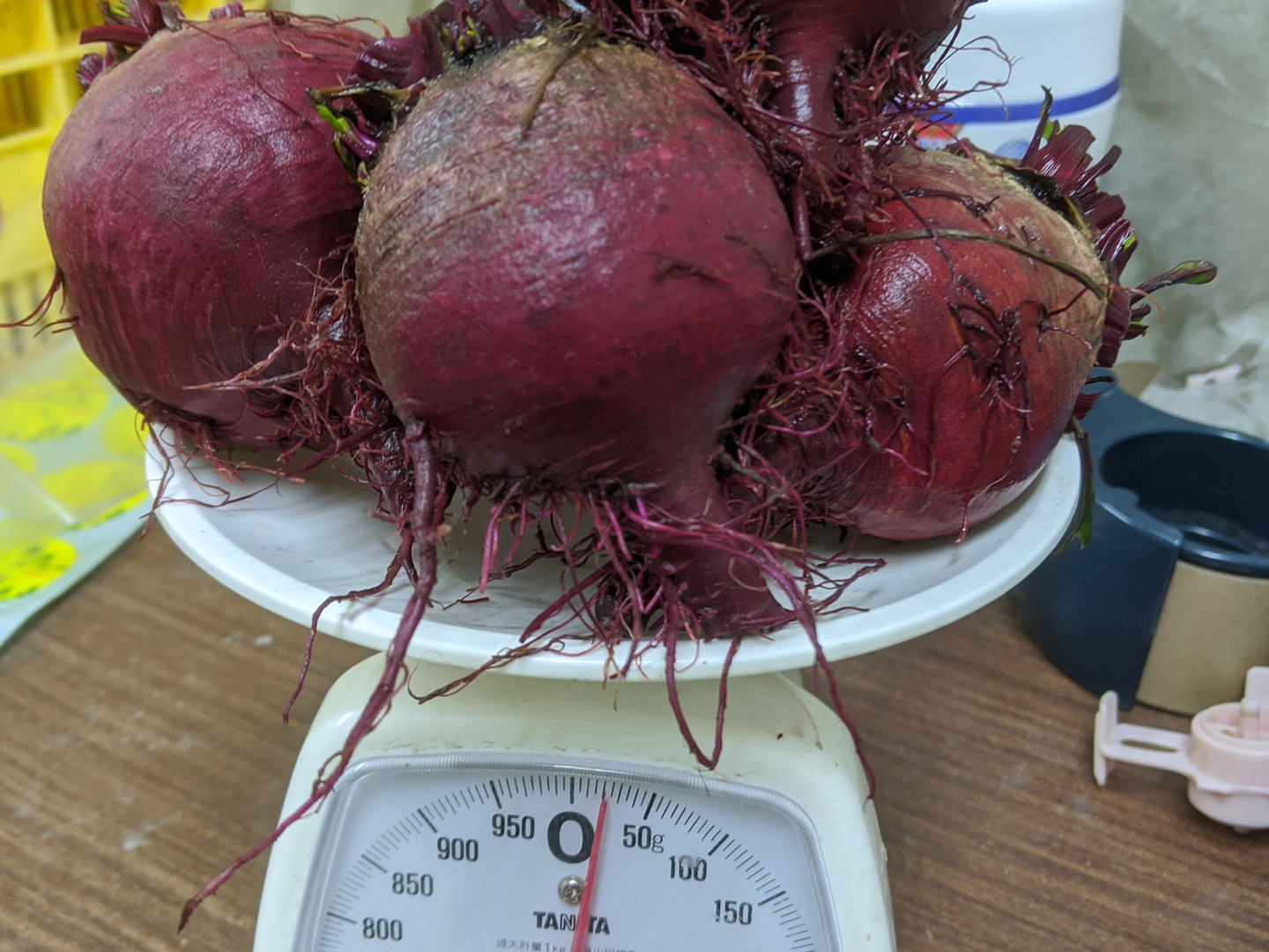 訳あり 北海道産 ビーツ 野菜 10kg fresh beetroot 生ビーツ野菜