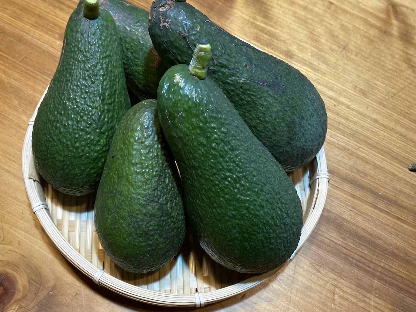 アボカド　ウインターメキシカン　花芽付き ウィンターメキシカン アボカド Aタイプの特徴と育て方 | 苗木部
