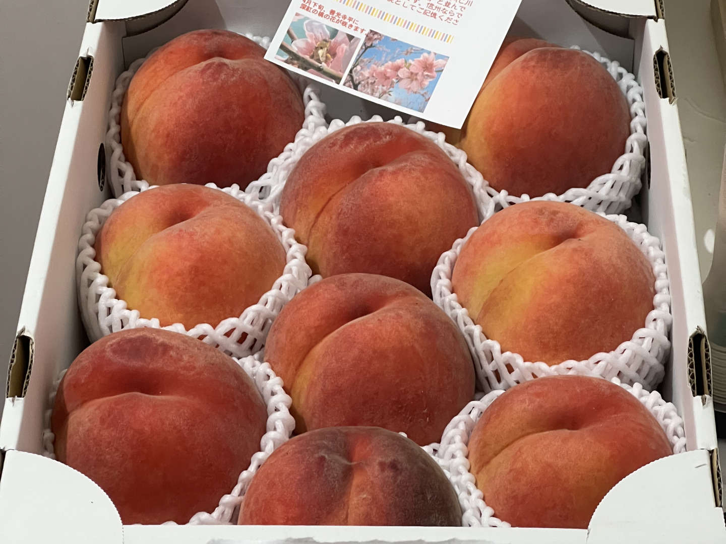 信州産　黄金桃　家庭用　10kg imgrc0099262279.jpg