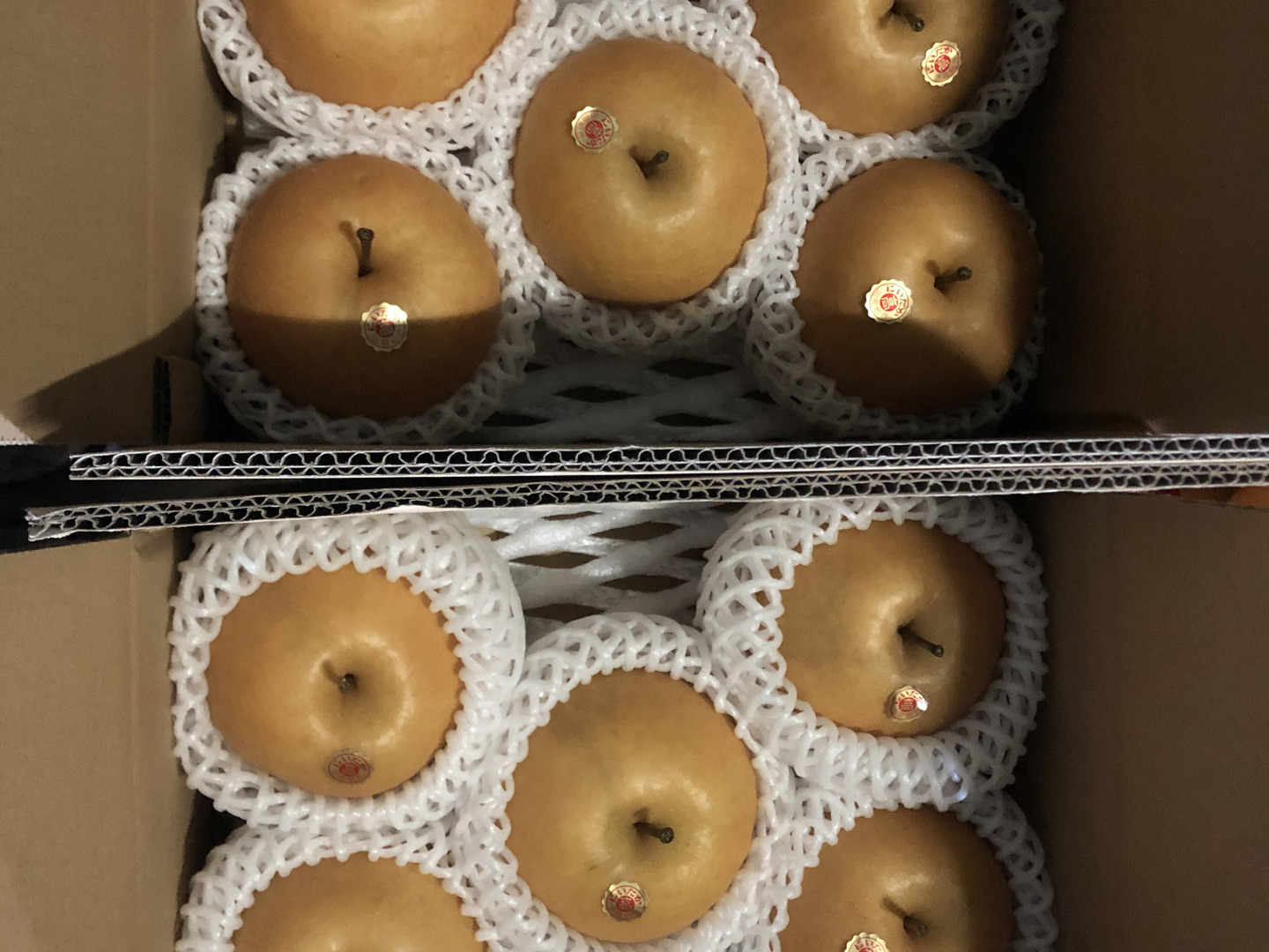【650g×5玉】【贈答用】梨の王様「新高梨」食べ応え抜群!:高知県産の新高梨|食べチョク|産地直送(産直)お取り寄せ通販 - 農家・漁師から ...