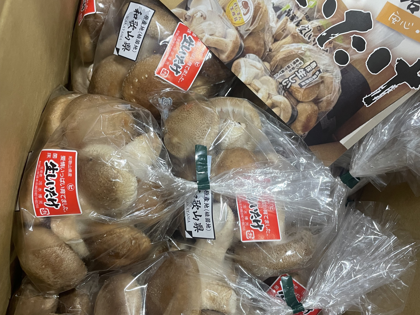 3㎏まとめ買い！菌床生しいたけ 小さくても美味しい（3