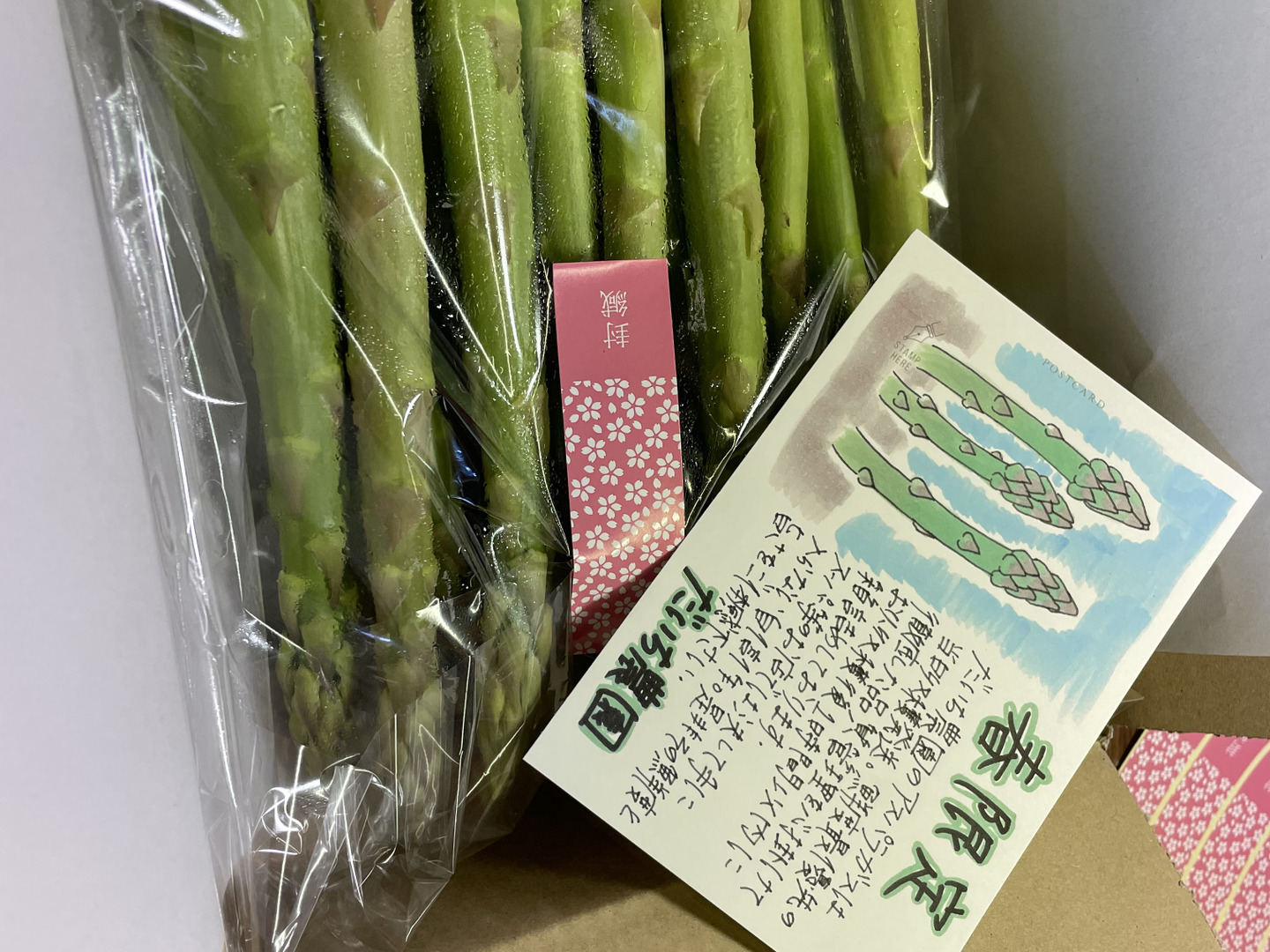 秋田県産 2L-3Lアスパラ 3キロ：秋田県産の野菜｜食べチョク