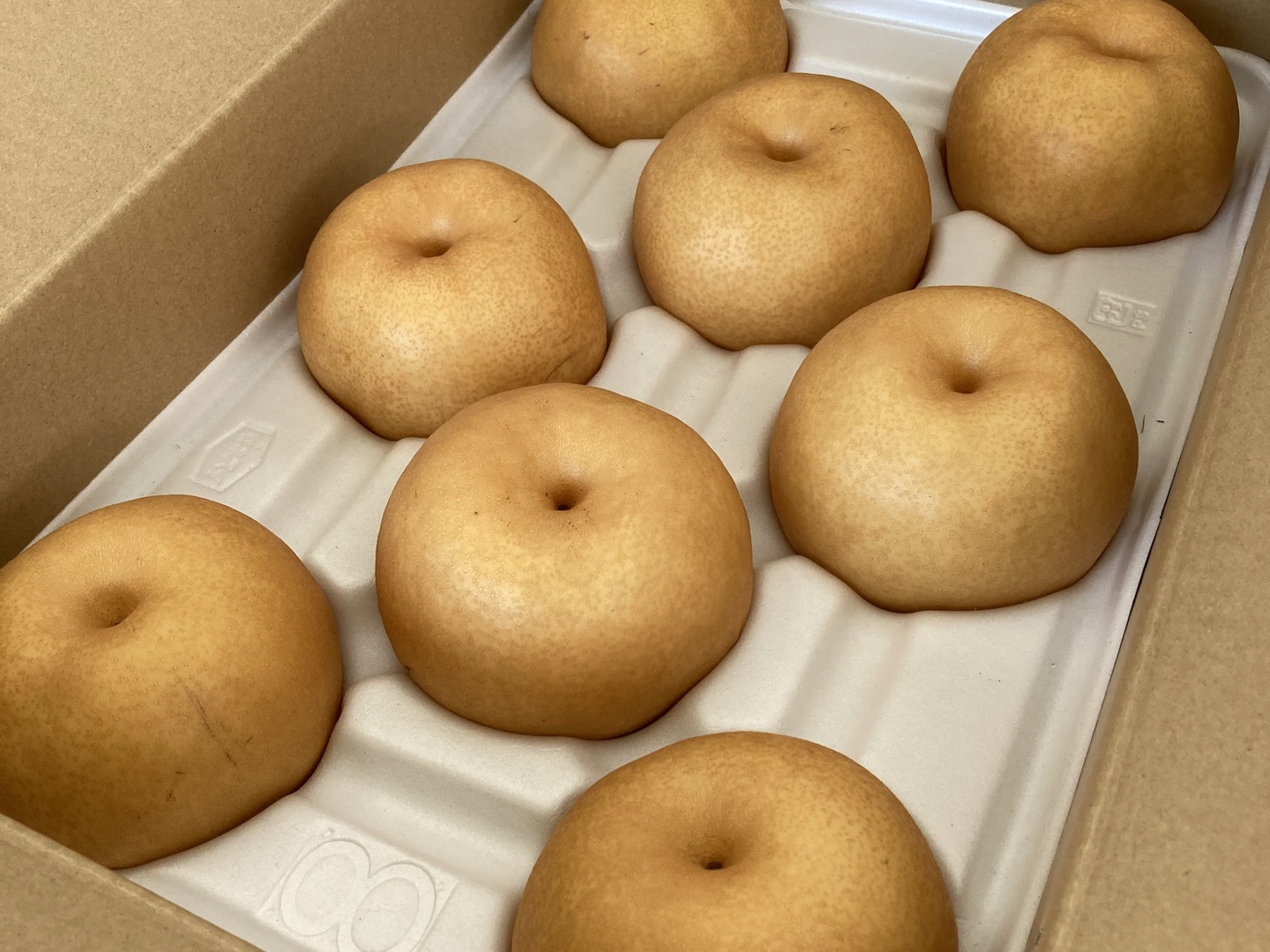 糖度13度以上！☆日本一大きな梨、愛宕梨【5kg（4-6個）】：大分