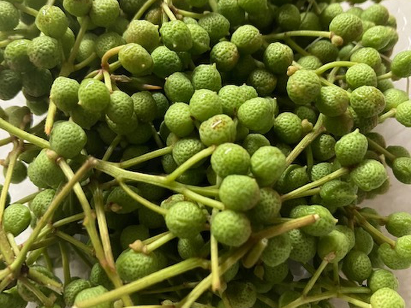 クール便！青森産 花山椒 200g A品