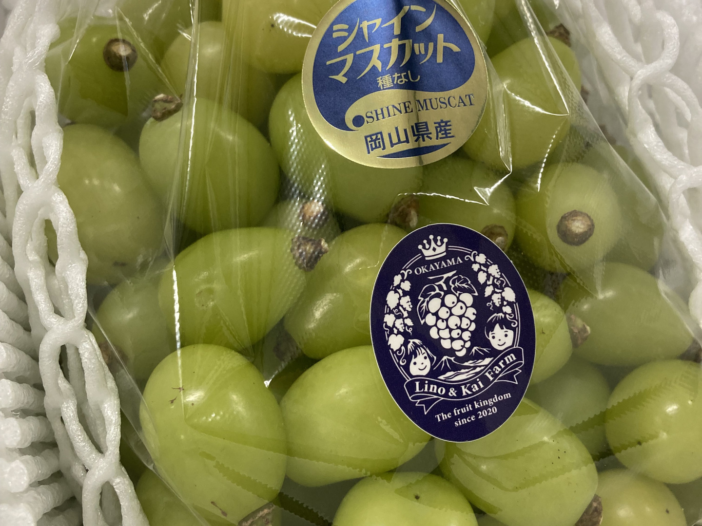 シャインマスカット大粒多め入り粒11キロパック入りになります。