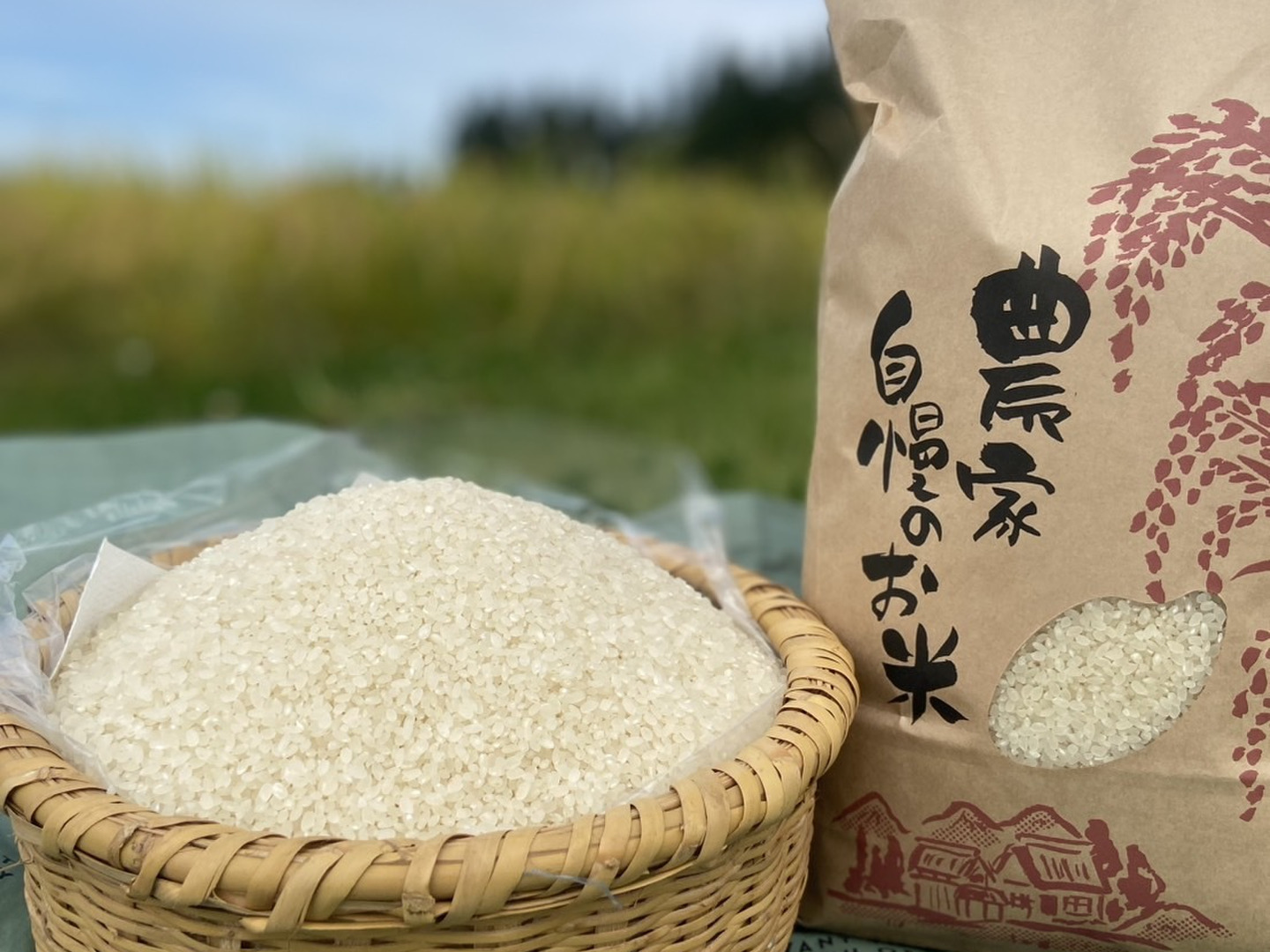 新米】令和8年魚沼産コシヒカリ玄米10kg：新潟県産の加工品｜食べ