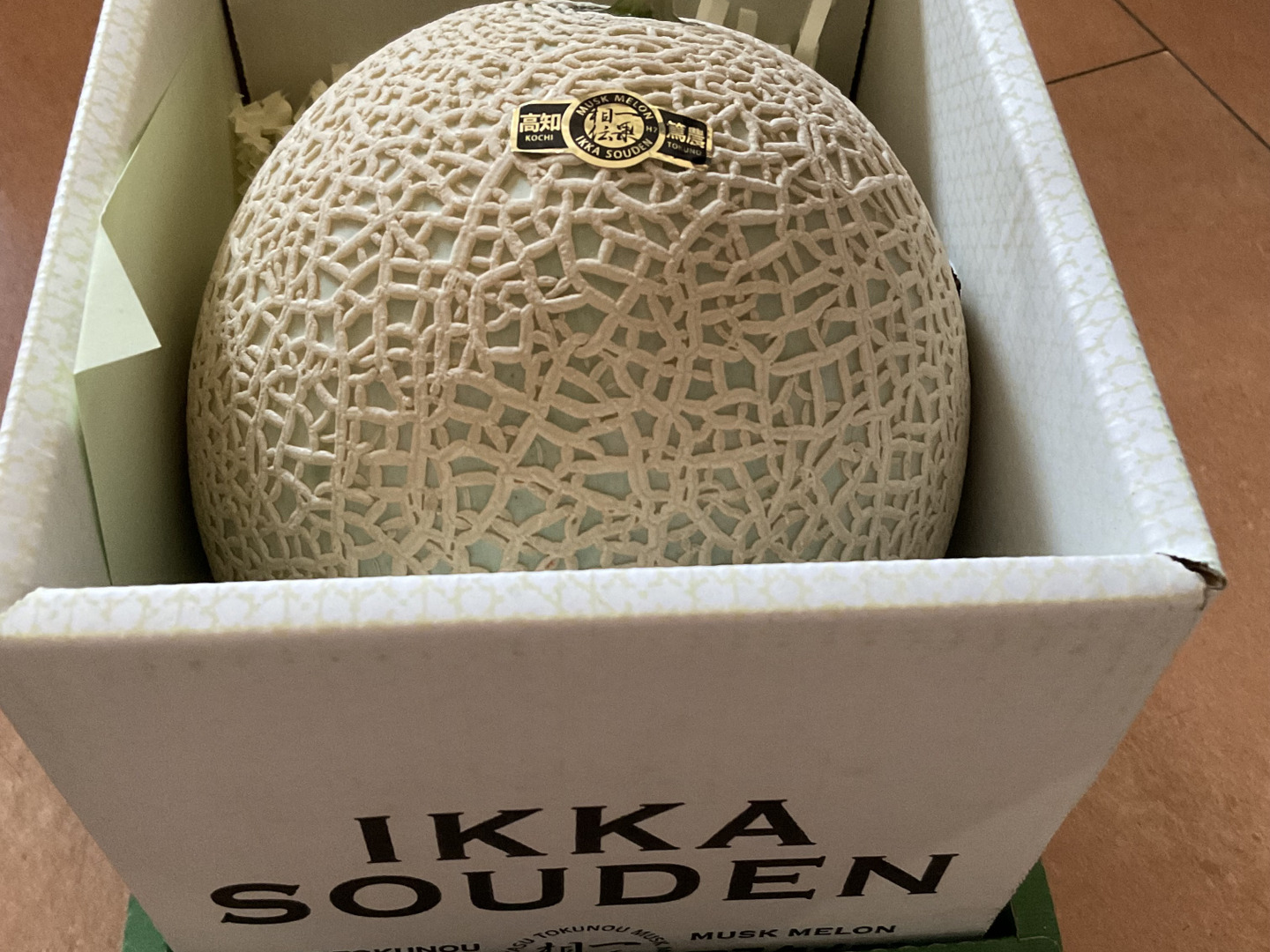 高知県産マスクメロン【家庭用】3玉 マスクメロン ギフト 高級 1玉 1.4kg 良品 産地直送 高知県産