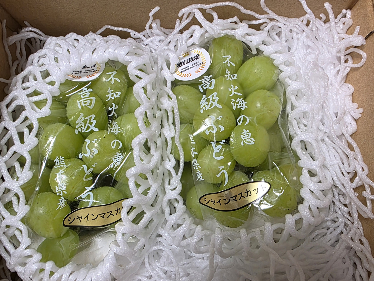 ○kotetsu様　シャインマスカット　4kg熊本 シャインマスカット 約2kg(山鹿市) | 熊本県山鹿市 | ふるさと
