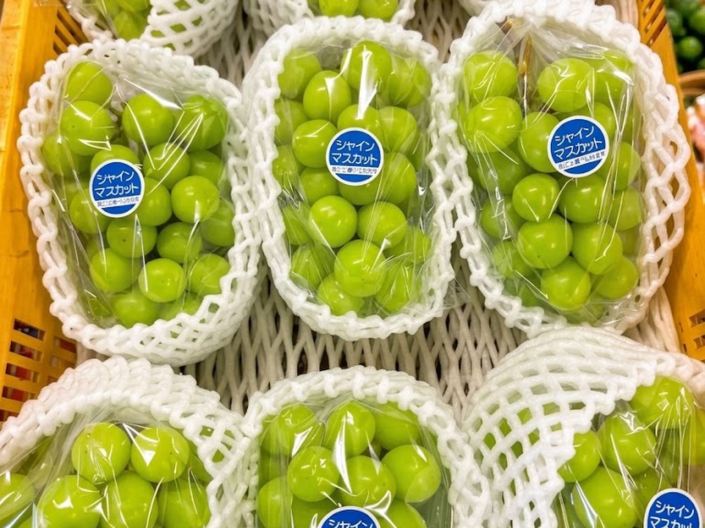 日本一の産地！笛吹市の甘くて美味しいシャインマスカット！ 1kg～1.4