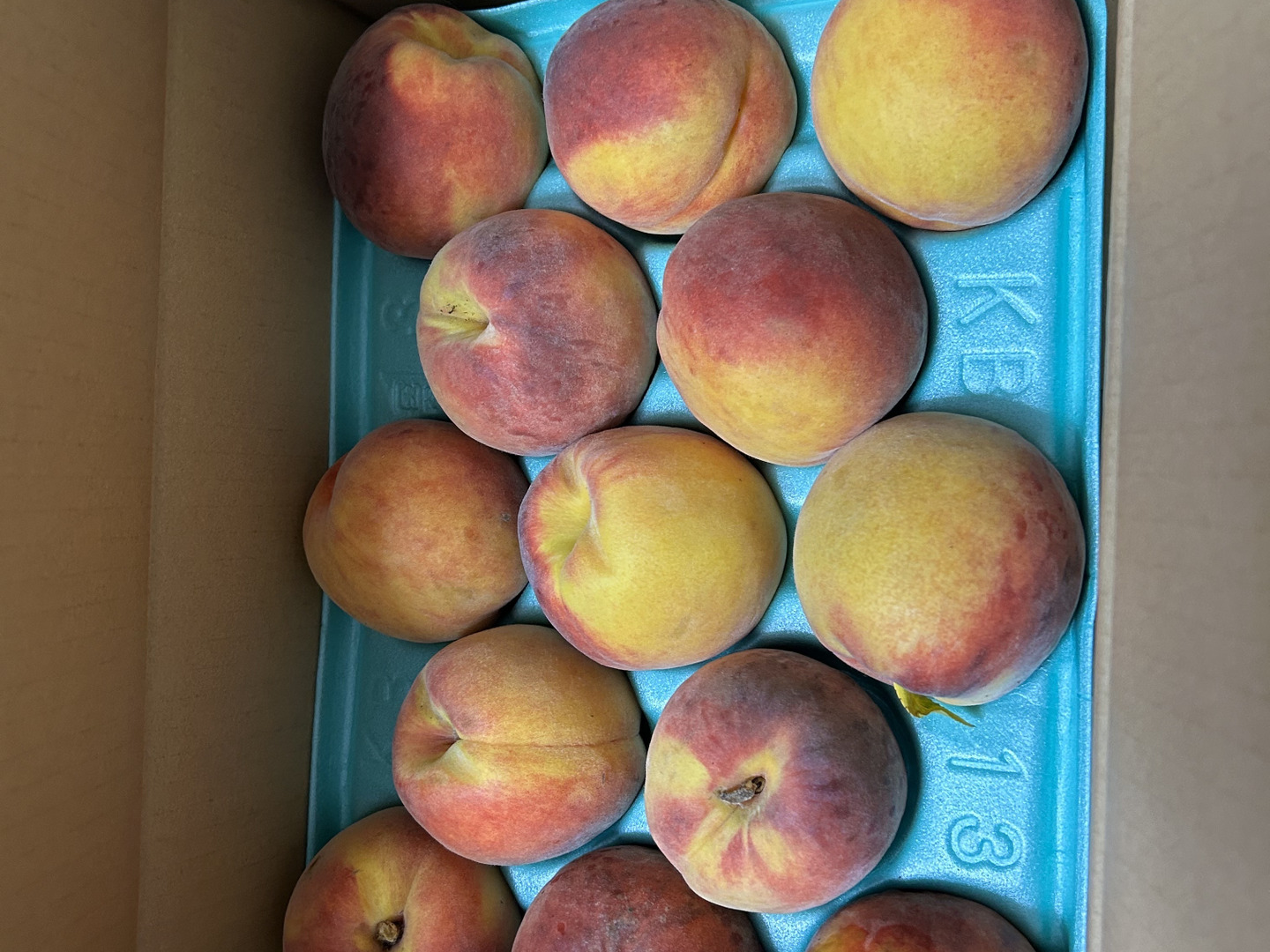 最終】ワッサークイーン【訳あり】22箱のみ 3kg：長野県産の黄桃