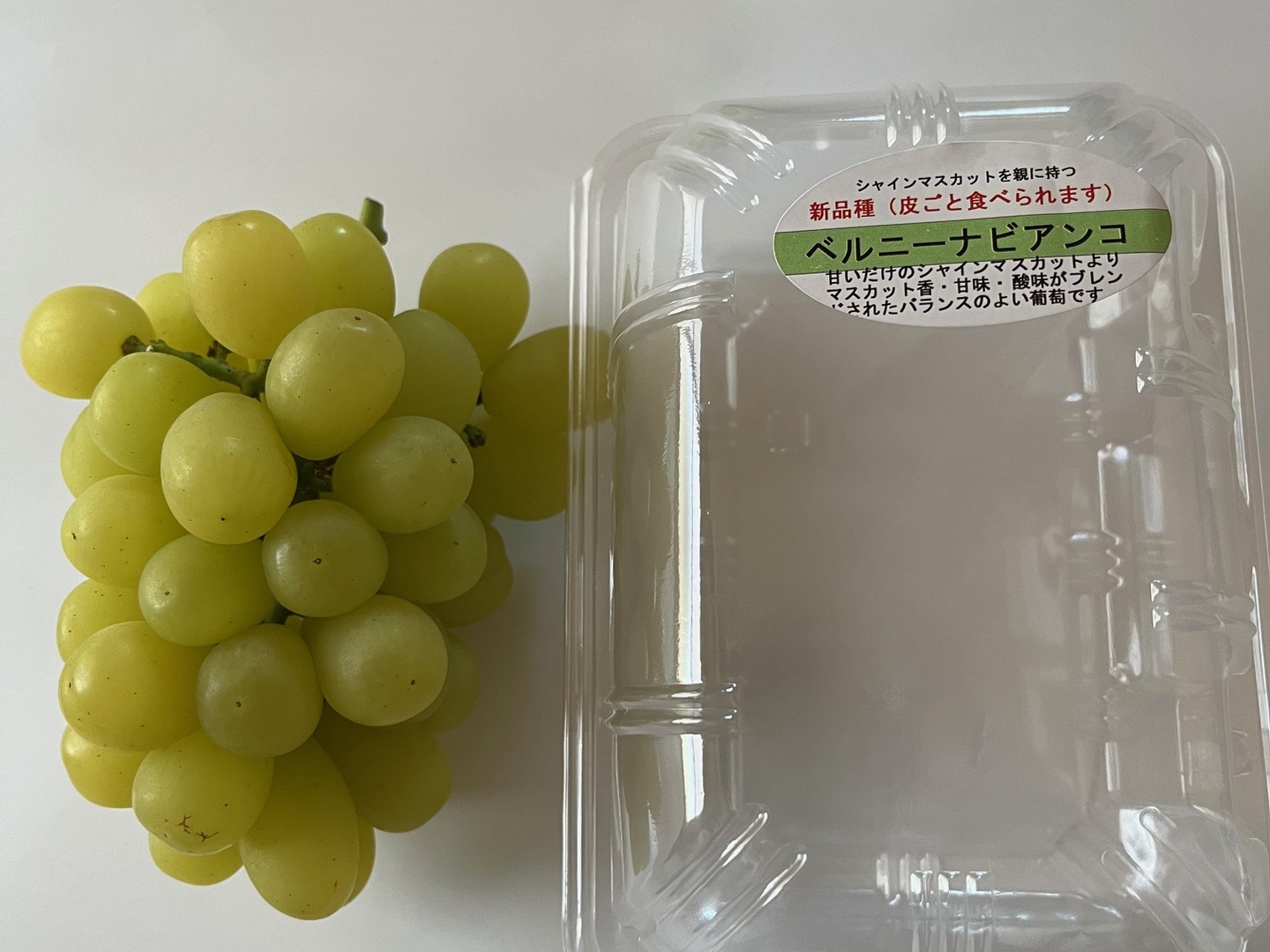 リビドー ほうじゅんぶどう リビドー ほうじゅんぶどう Amazon.co.jp: [炭酸水]サントリー