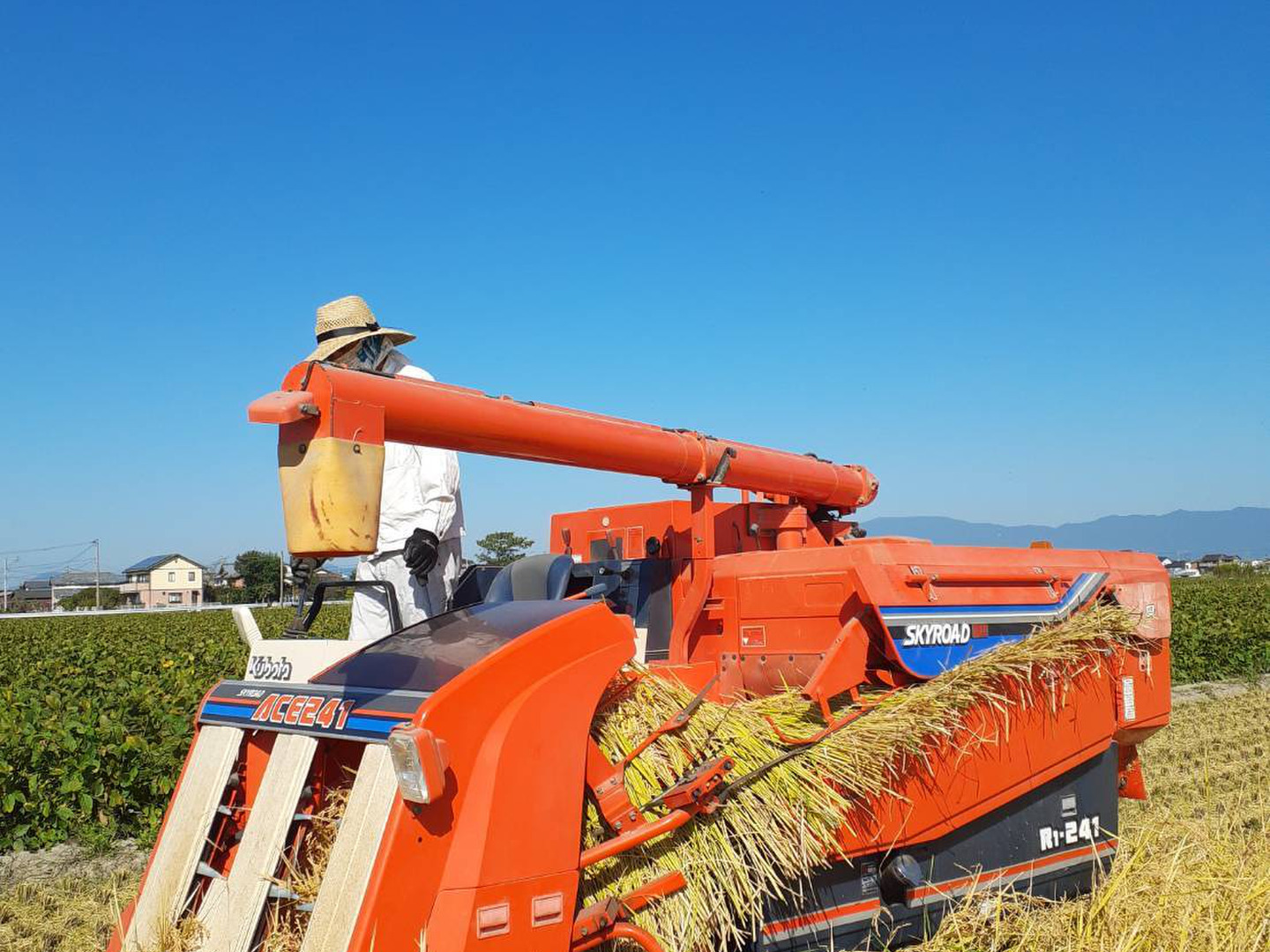 ありがとう】🌸🌸🌸『神の力』玄米5kg（コシヒカリ）：佐賀県産