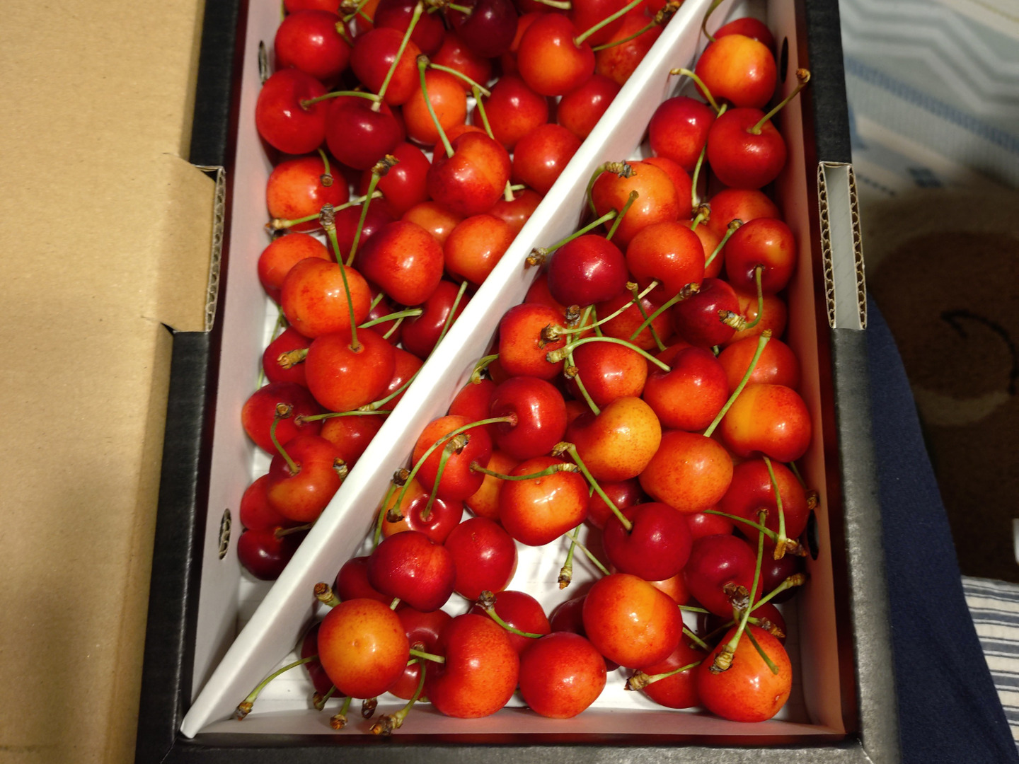 コロ 紅秀峰1kg 21日発送分 紅秀峰•令和8年度完売！！感謝御礼！来年度ご注文開始