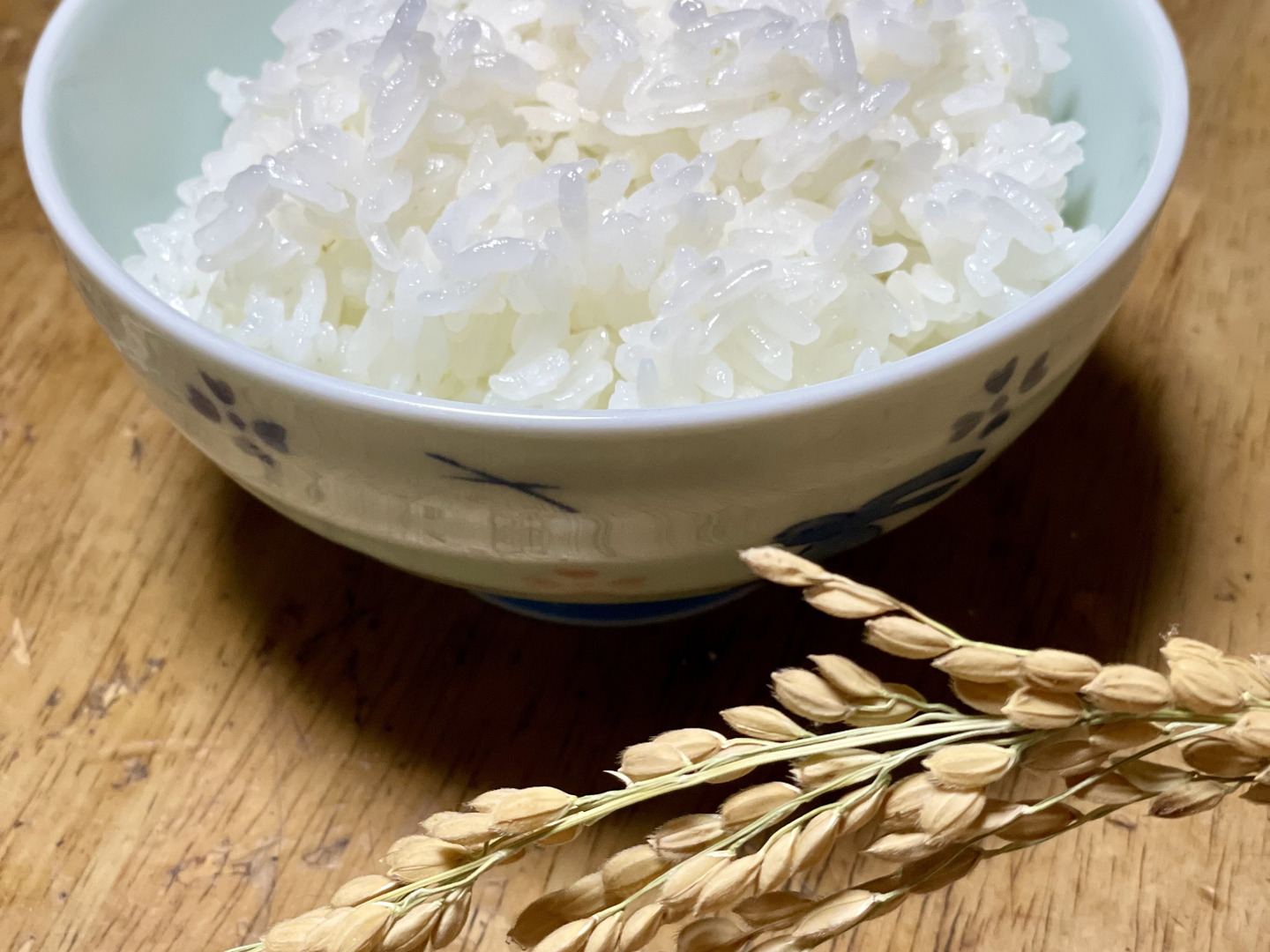 🟢令和6年産🟢 特別栽培米🌾きぬむすめ10kg（精米後9kg）：岡山