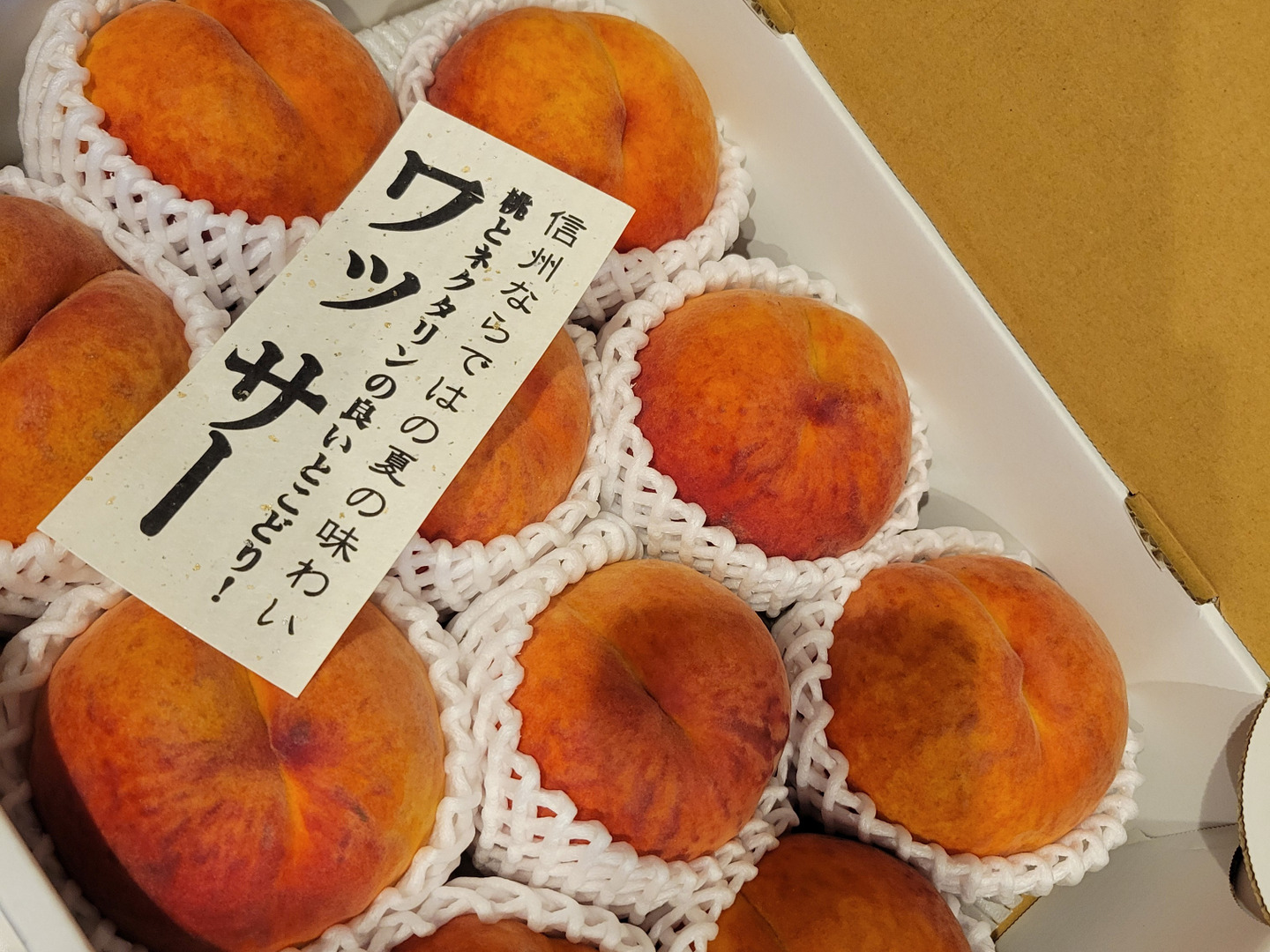 ワッサー 信州ならではの桃 訳あり ご家庭専用コース 3キロ