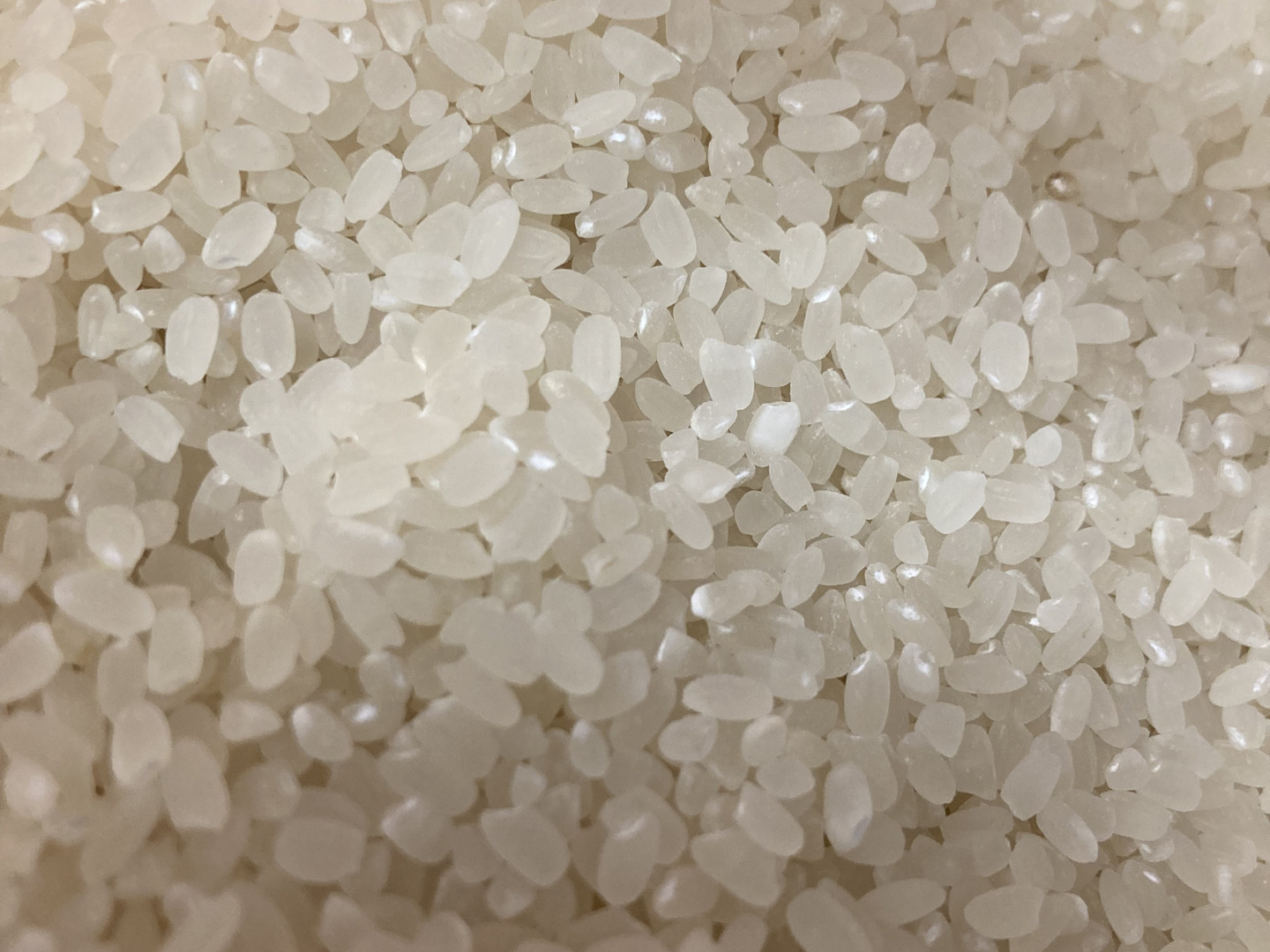令和7年度新米 湧き水で育った熊本県産ヒノヒカリ(農薬 化学肥料