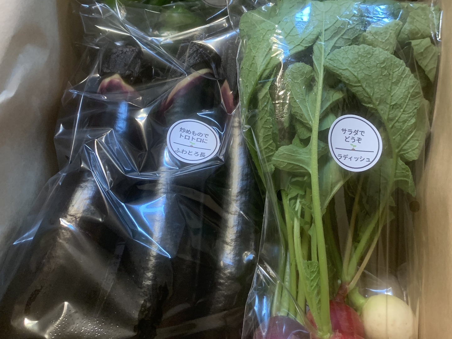 【アウトレット☆送料無料】 定期購入専用Mサイズ【栽培期間中農薬不使用】季節のお野菜 野菜